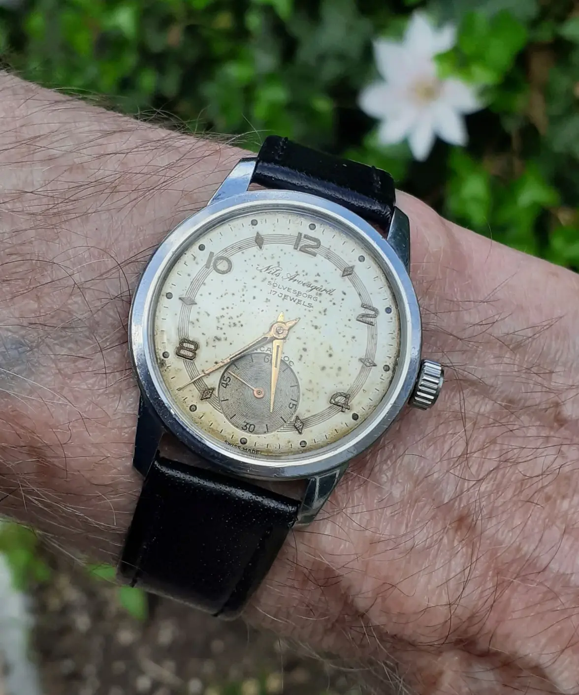 20250525_173708   1.webp