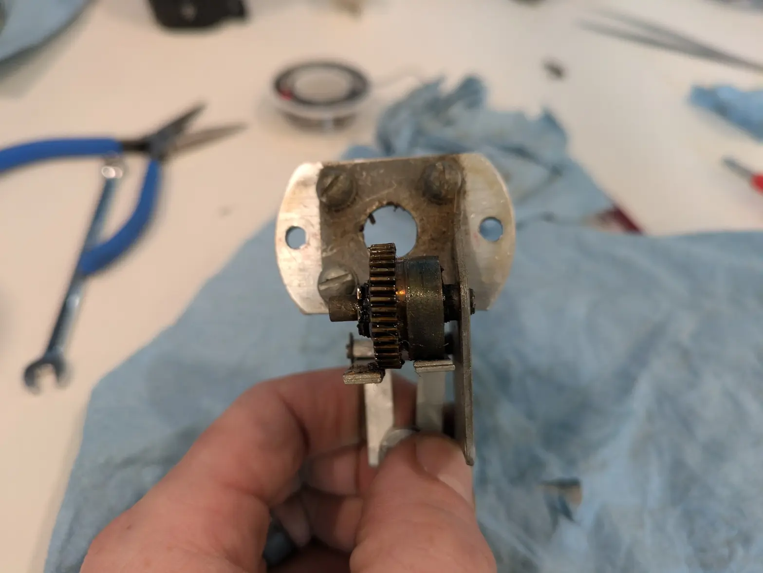 PXL_20250721_180124082.webp PXL_20250721_180124082.webp