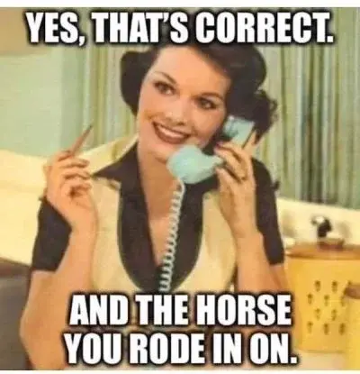 and the horse you rode in on.webp