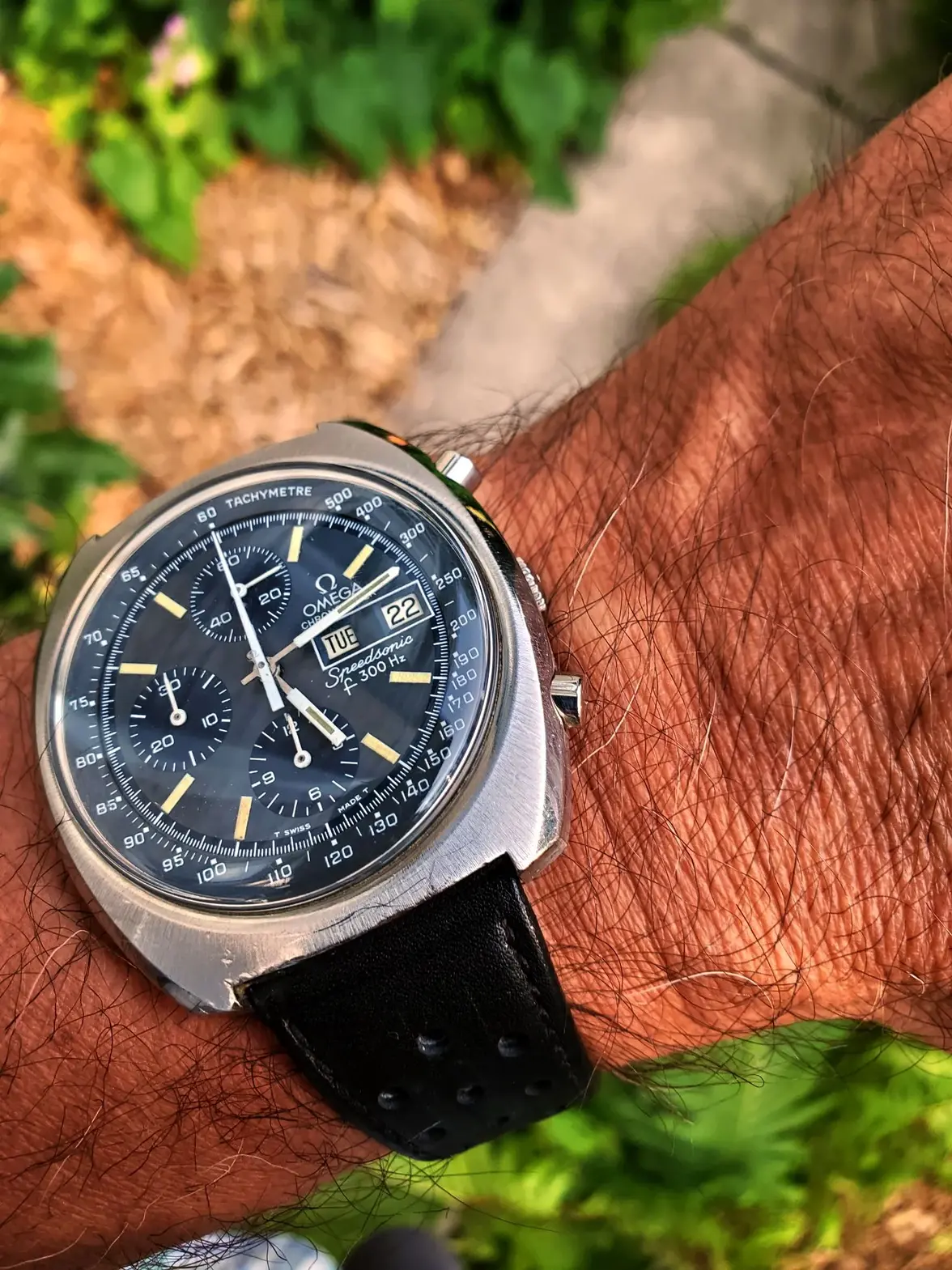 SS ws 1 20250722_171319.webp