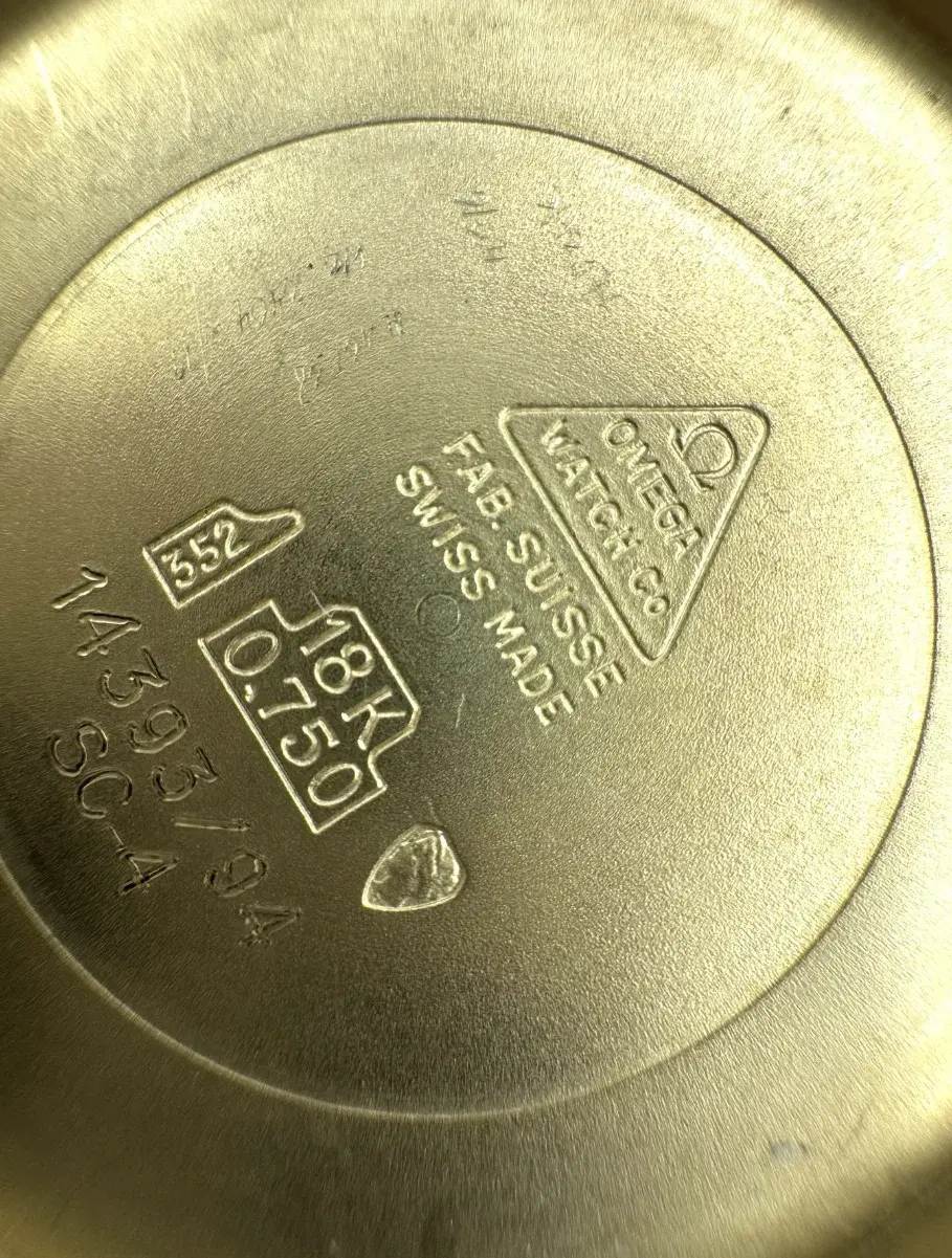 Screenshot 2025-07-24 011813.webp