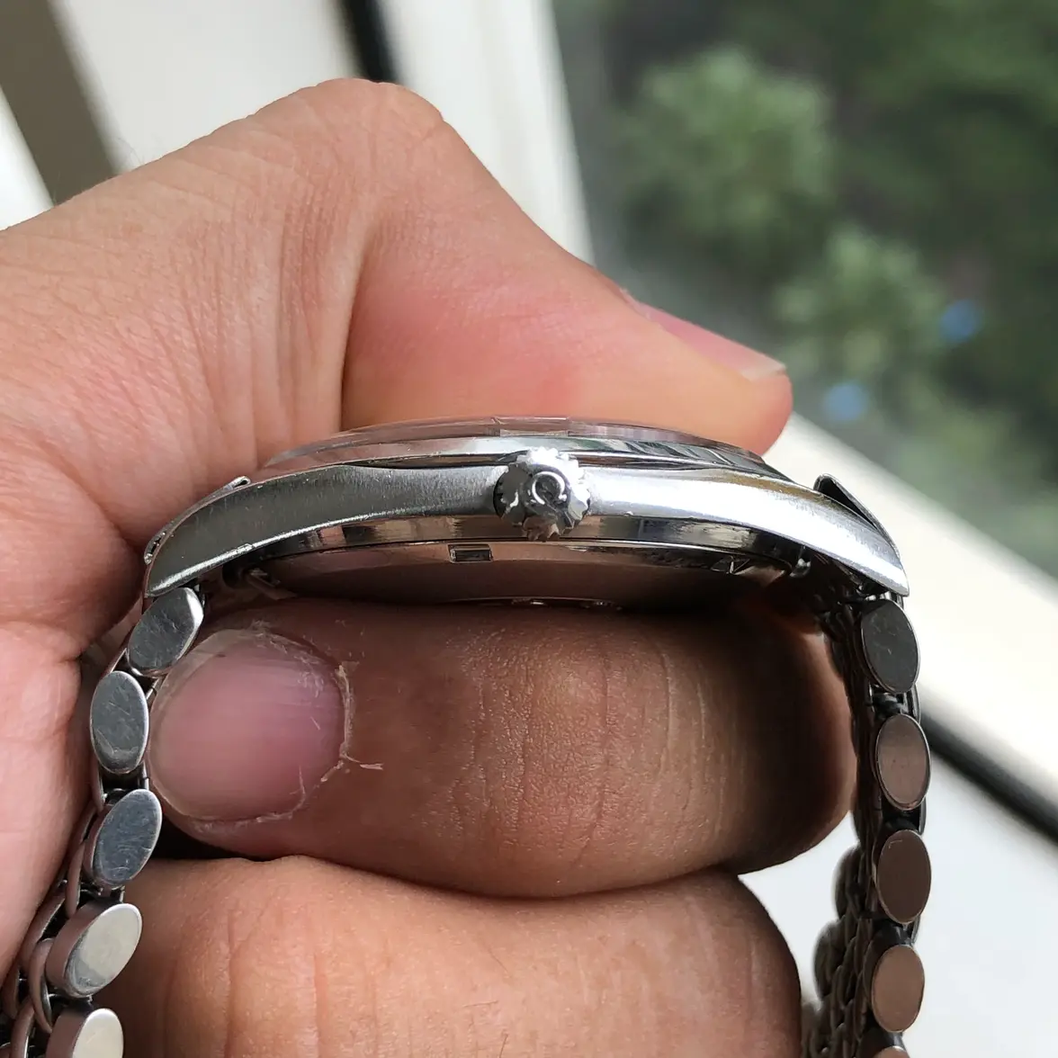 IMG_0458.webp IMG_0458.webp