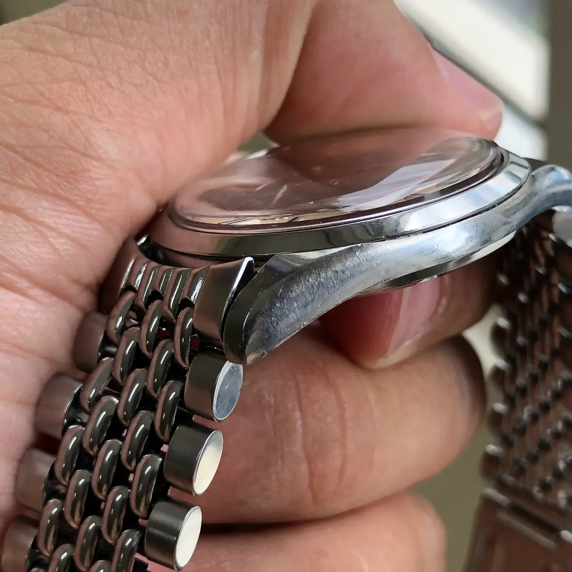 IMG_0461.webp IMG_0461.webp