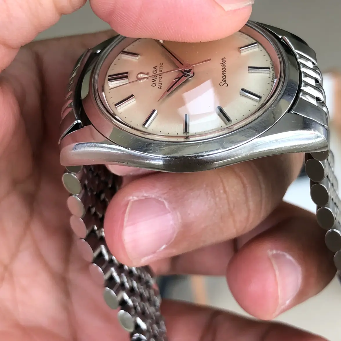 IMG_0462.webp IMG_0462.webp