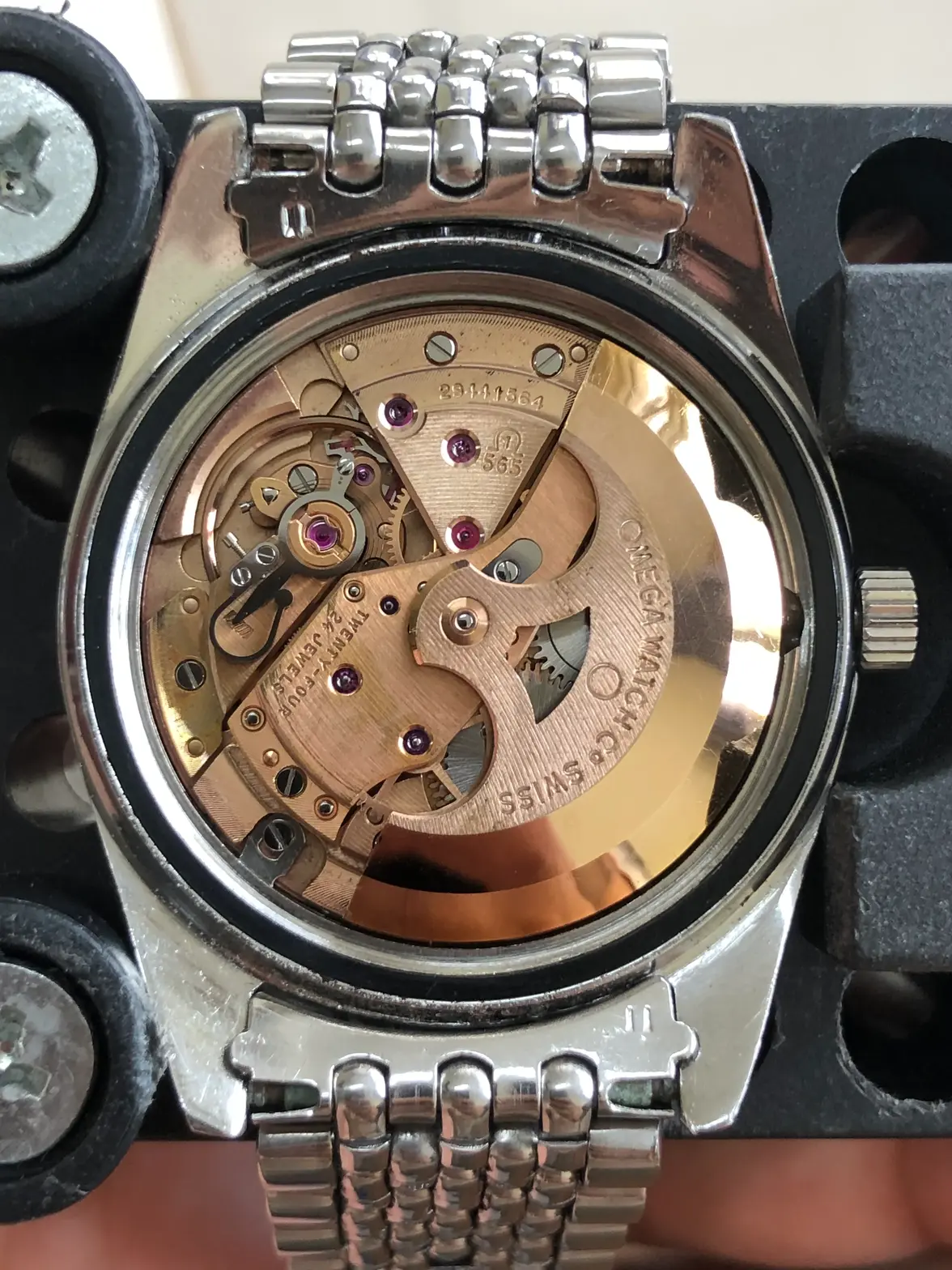 IMG_0469.webp IMG_0469.webp