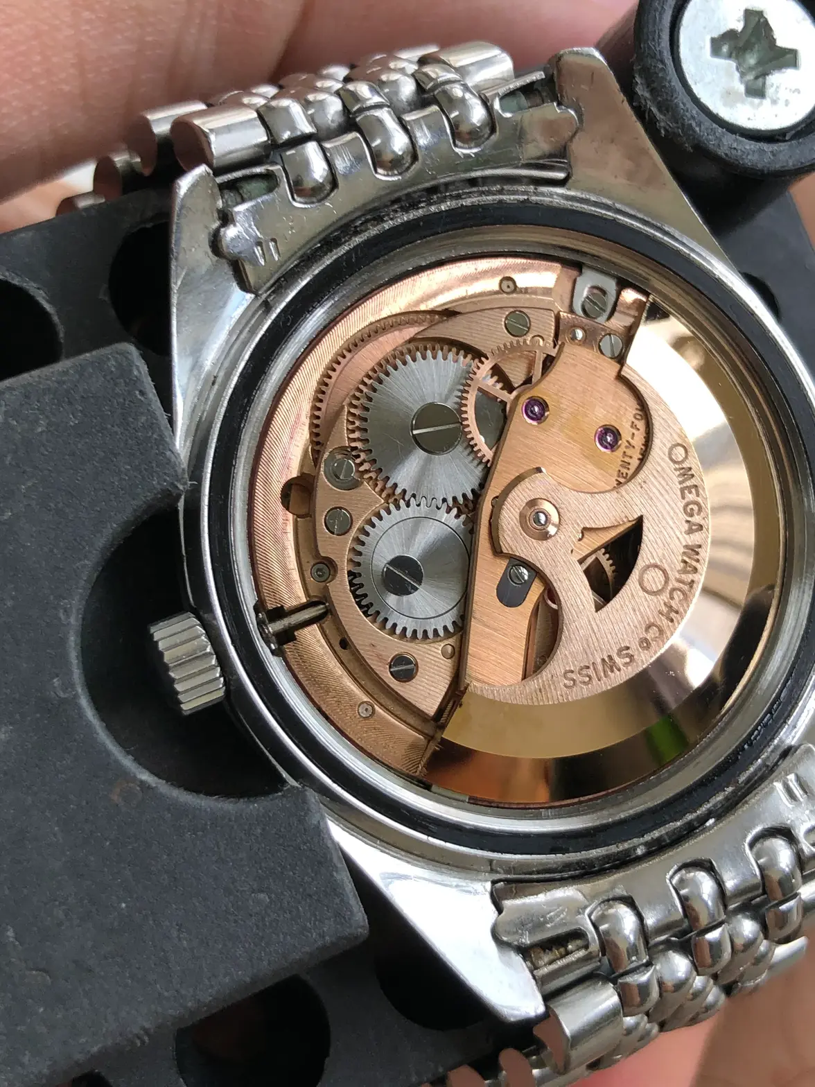 IMG_0470.webp IMG_0470.webp