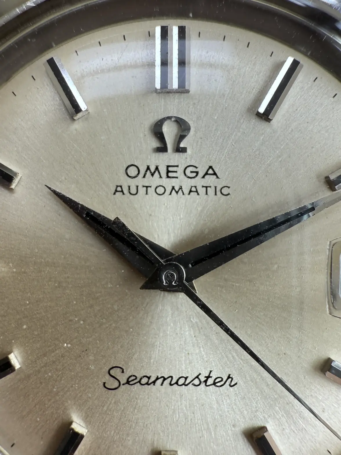 IMG_4404.webp IMG_4404.webp