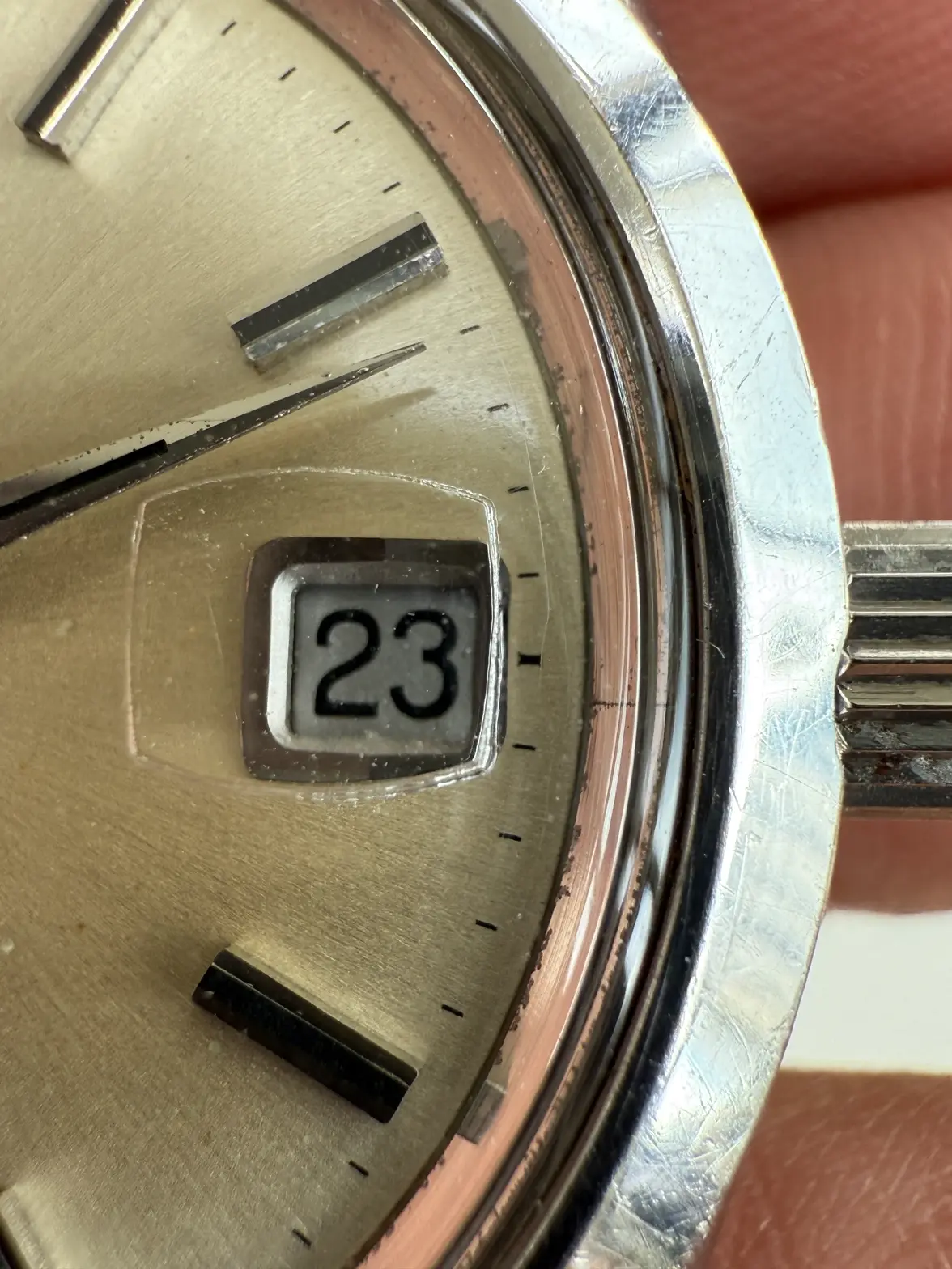 IMG_4408.webp IMG_4408.webp