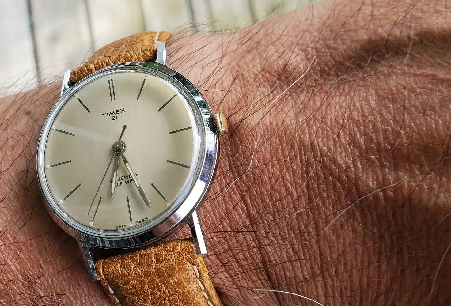 Timex 21 ws 1 20250726_182728.webp