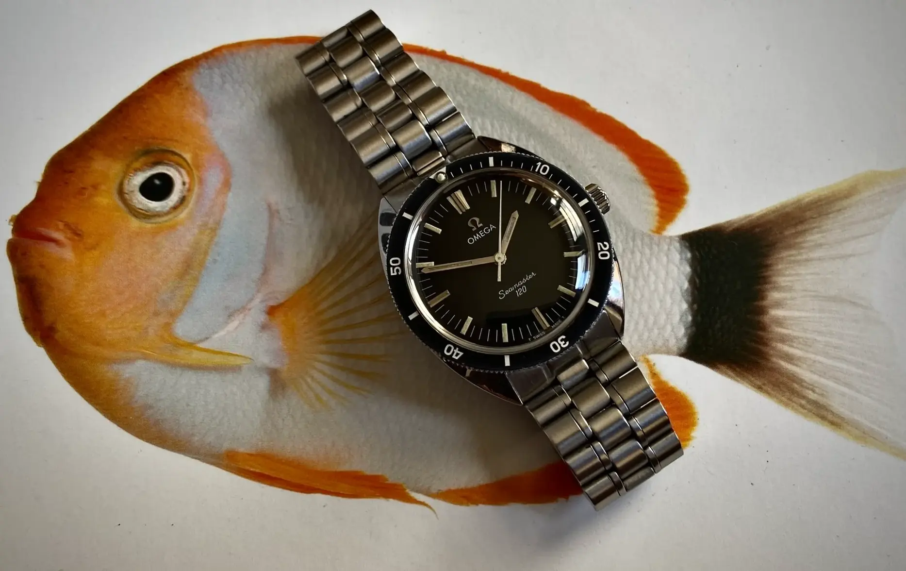 487239111_10161279684349537_4826798622033147773_n 2.webp