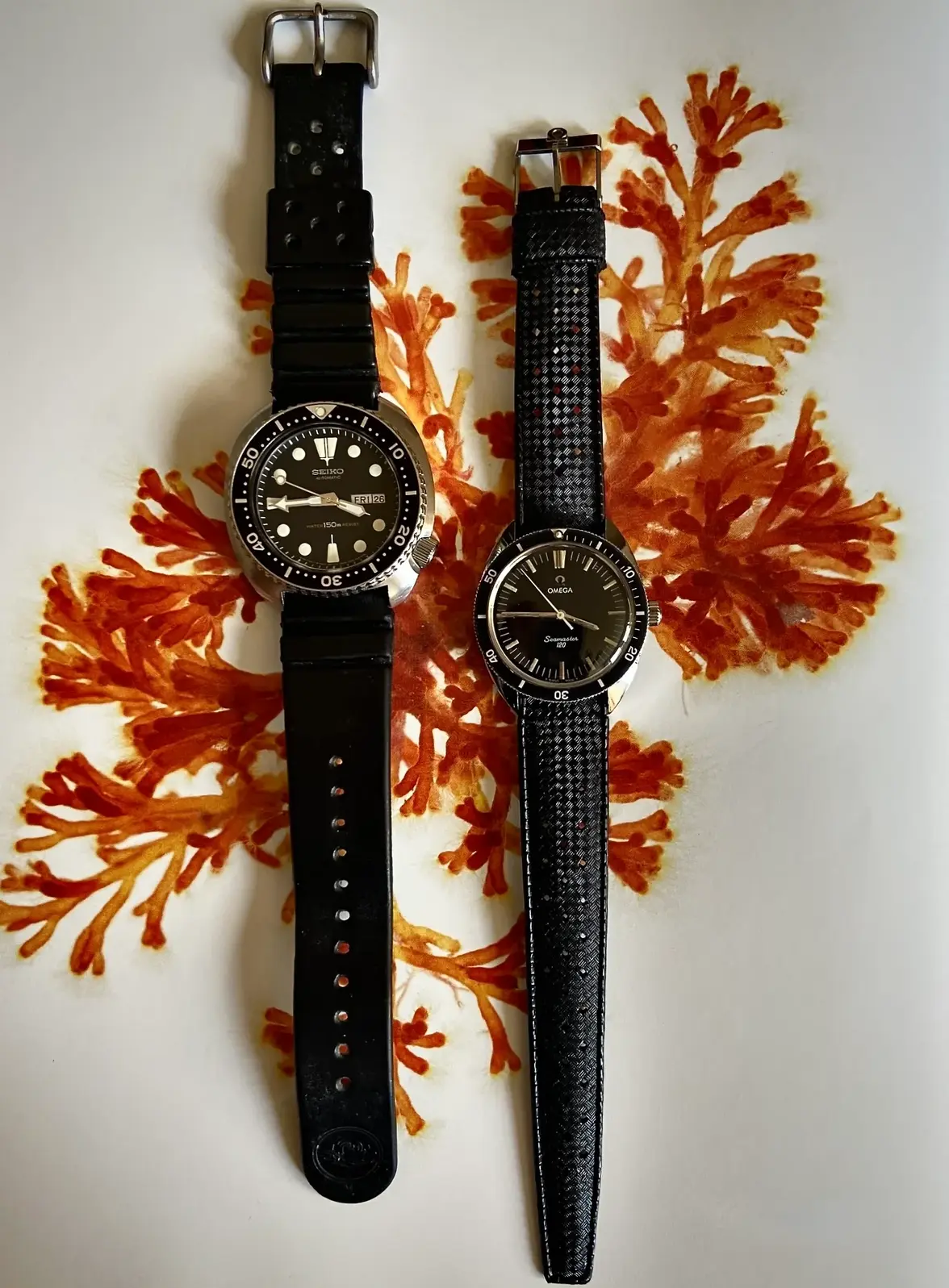 515673945_10161678215564537_6590152680122267954_n 2.webp