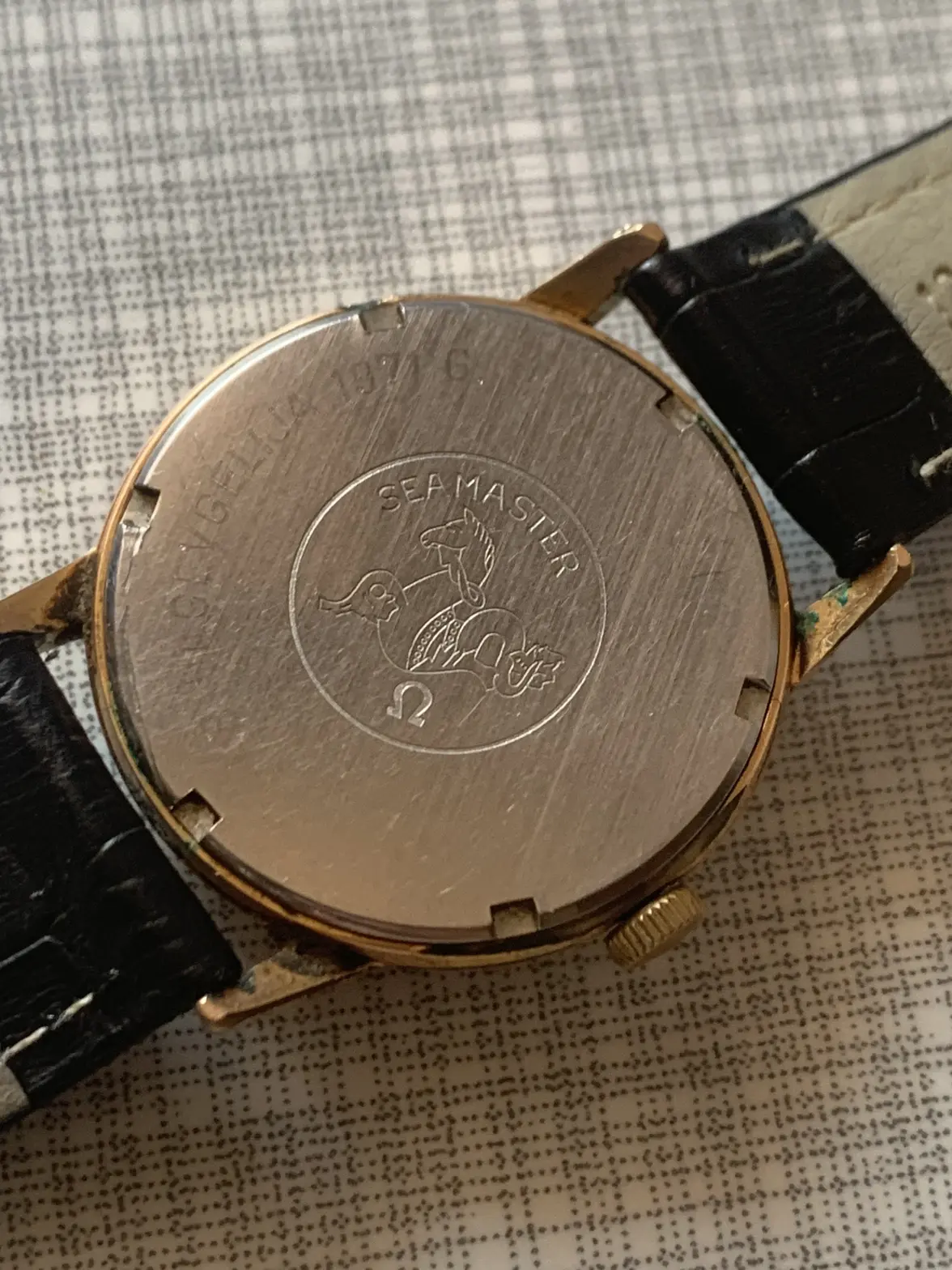 IMG_0290.webp IMG_0290.webp