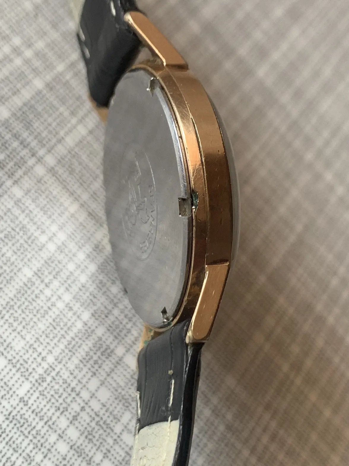 IMG_0288.webp IMG_0288.webp