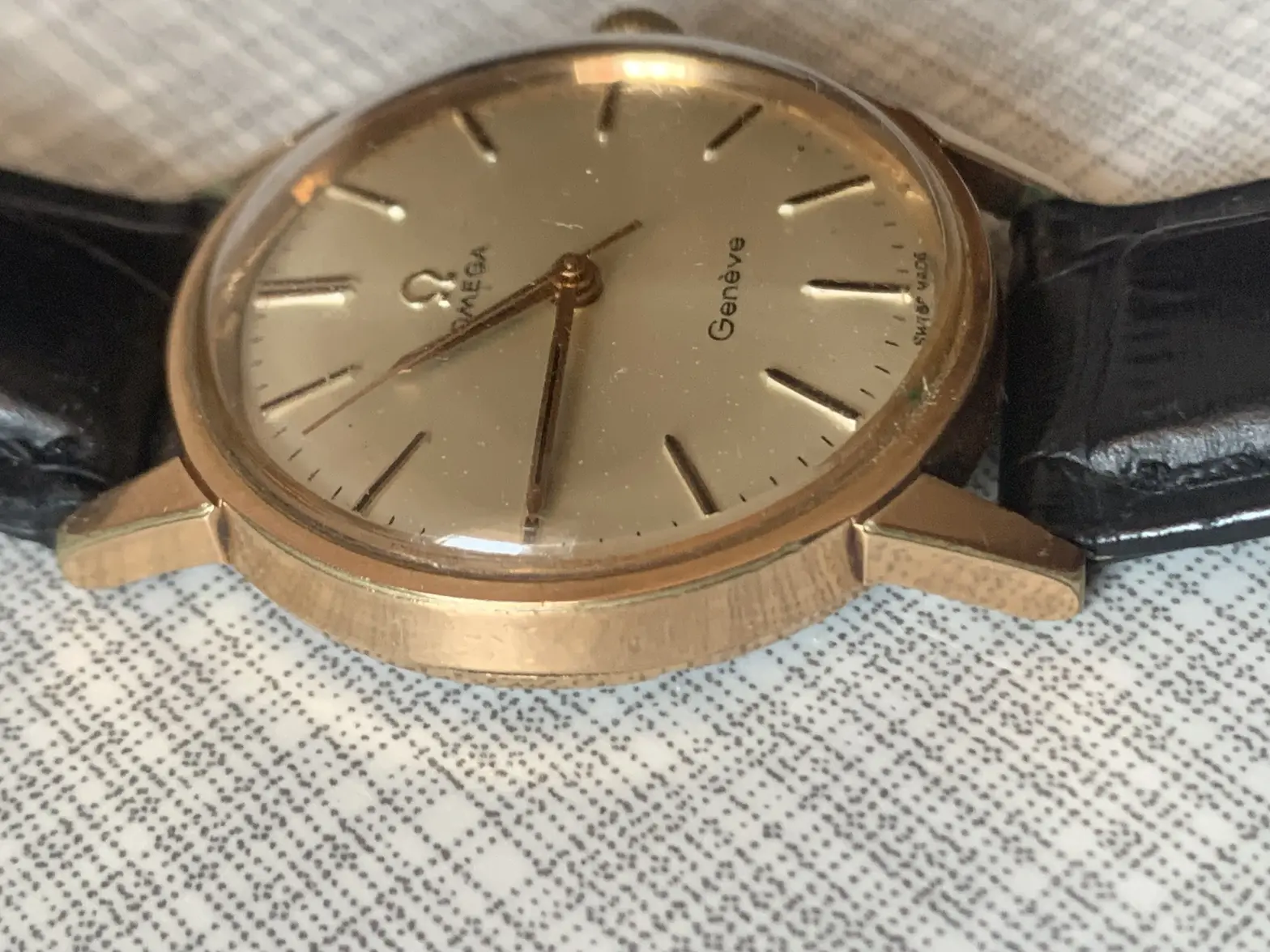 IMG_0293.webp IMG_0293.webp