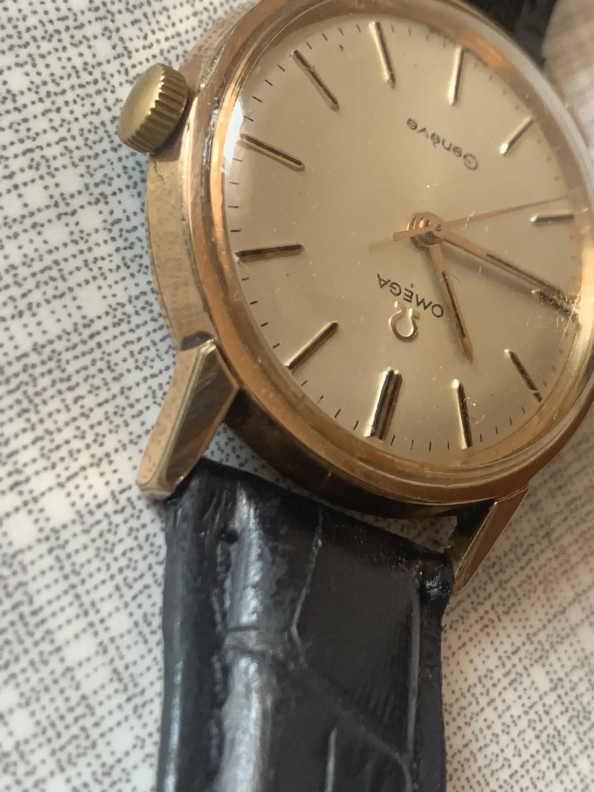 IMG_0292.webp IMG_0292.webp