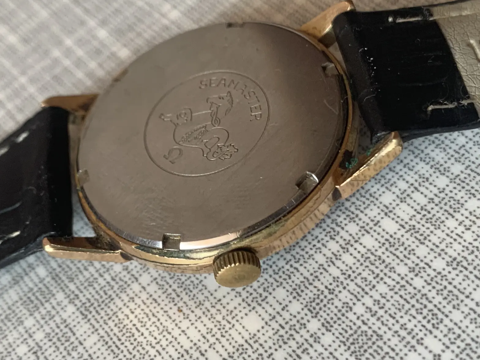 IMG_0295.webp IMG_0295.webp