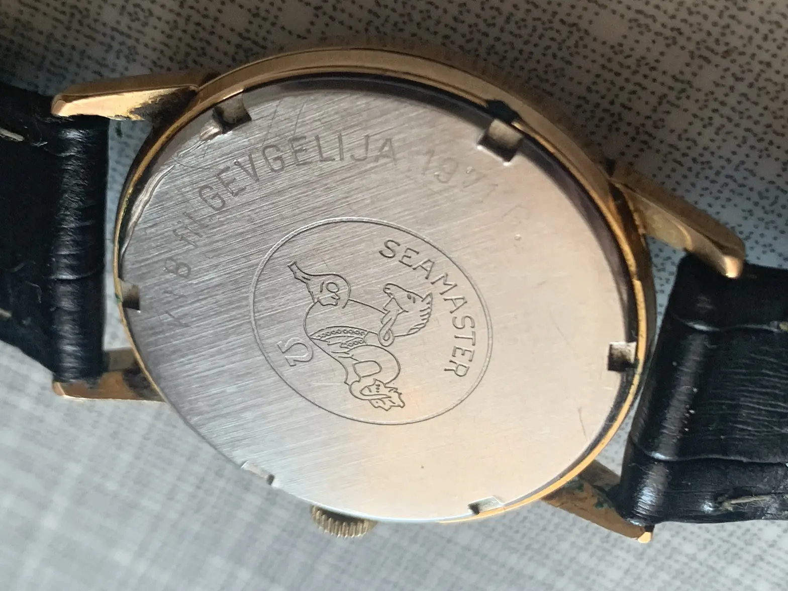 IMG_0294.webp IMG_0294.webp