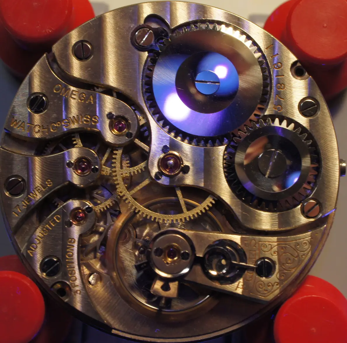 damfuzzy avatar.webp