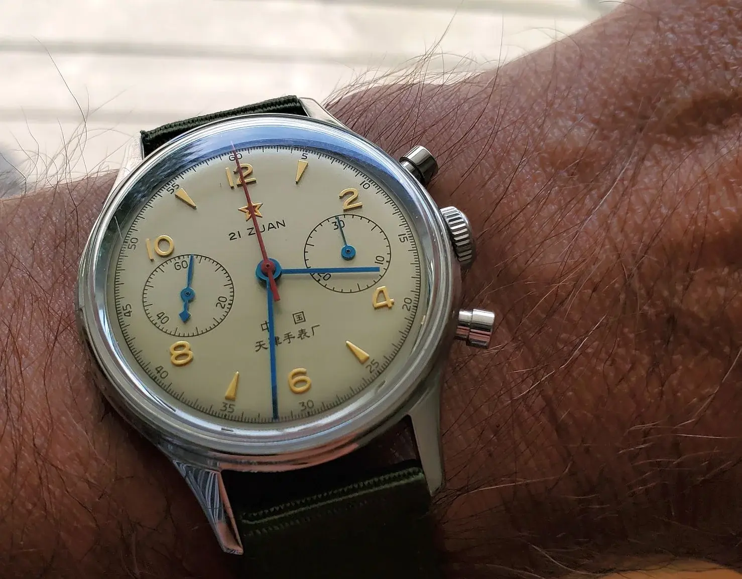 Seagull ws 1 20250808_153152.webp