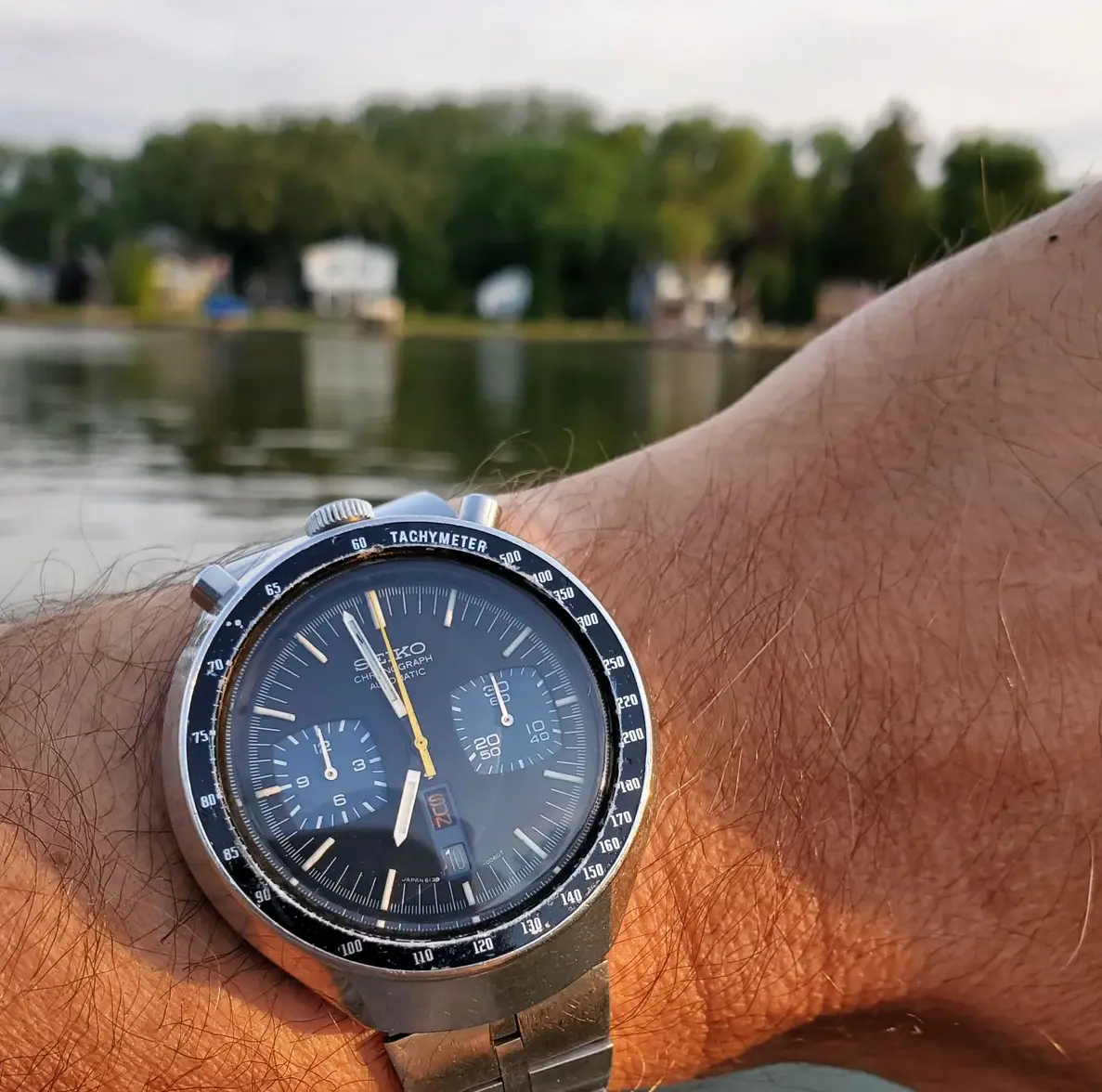 Bullhead ws 2 20250810_065803.webp