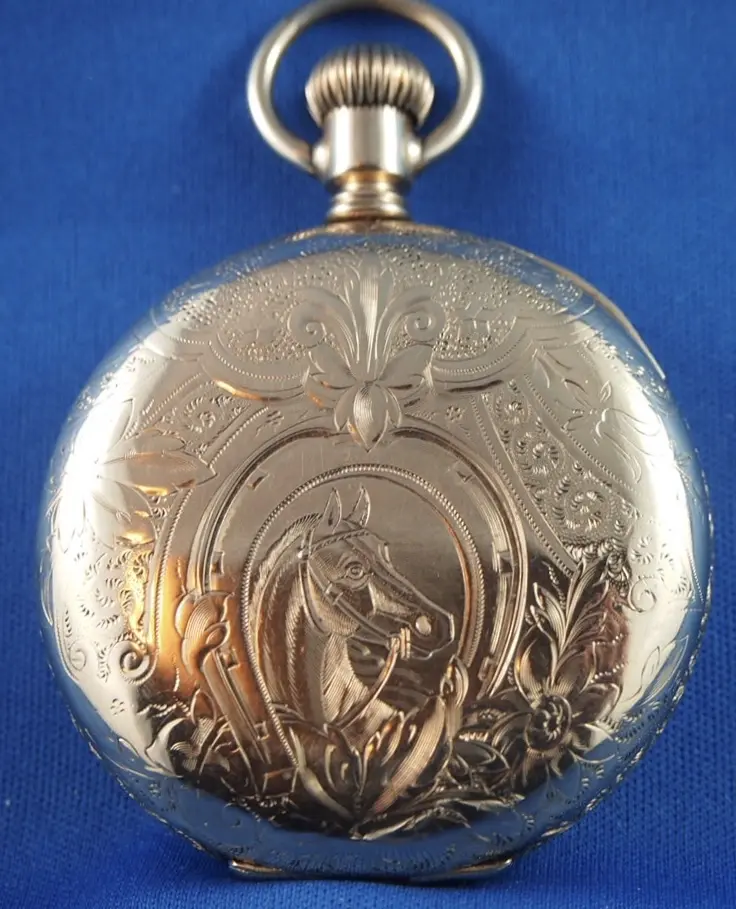 P2248575.webp P2248575.webp