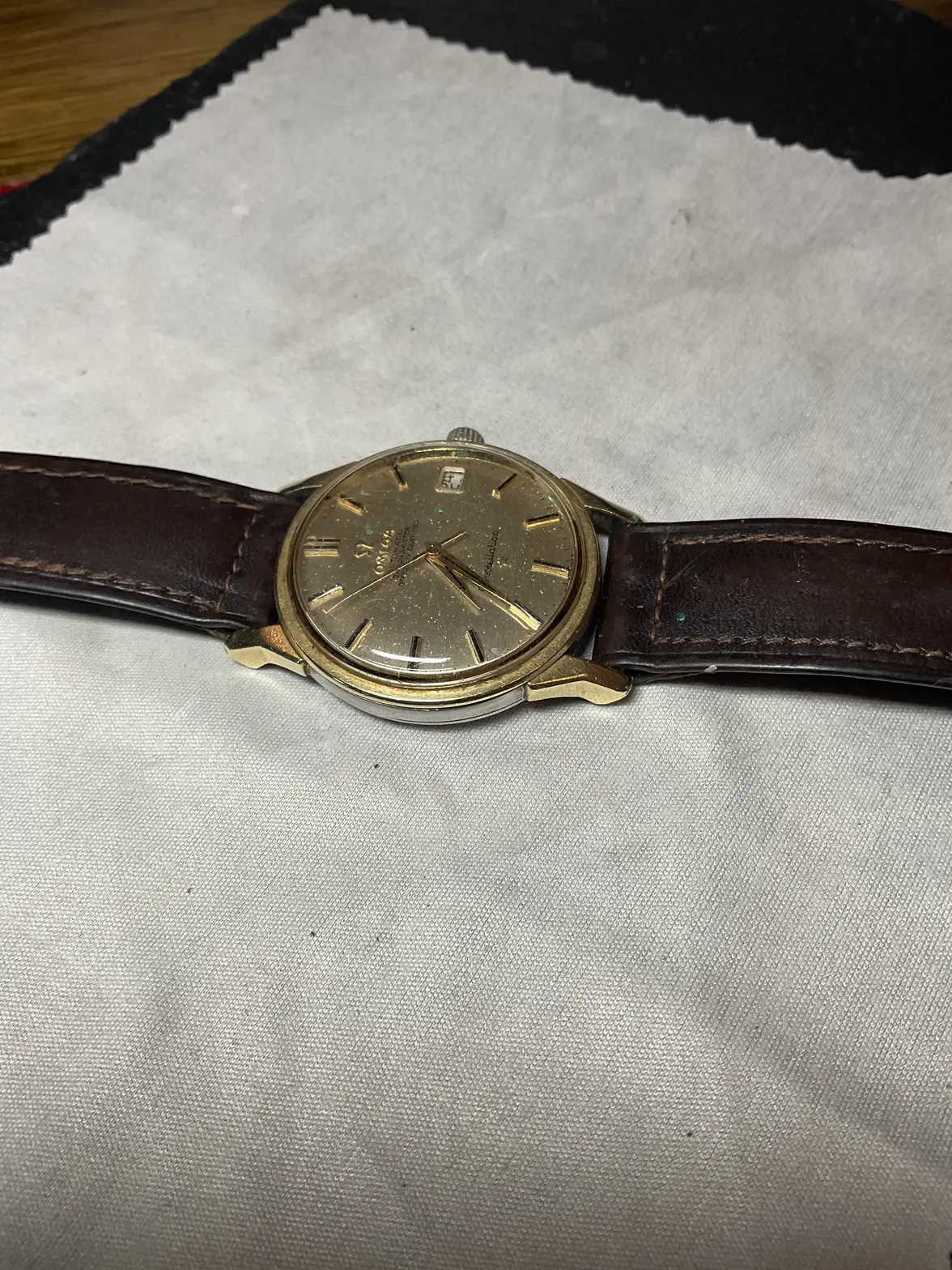 IMG_2115.webp IMG_2115.webp