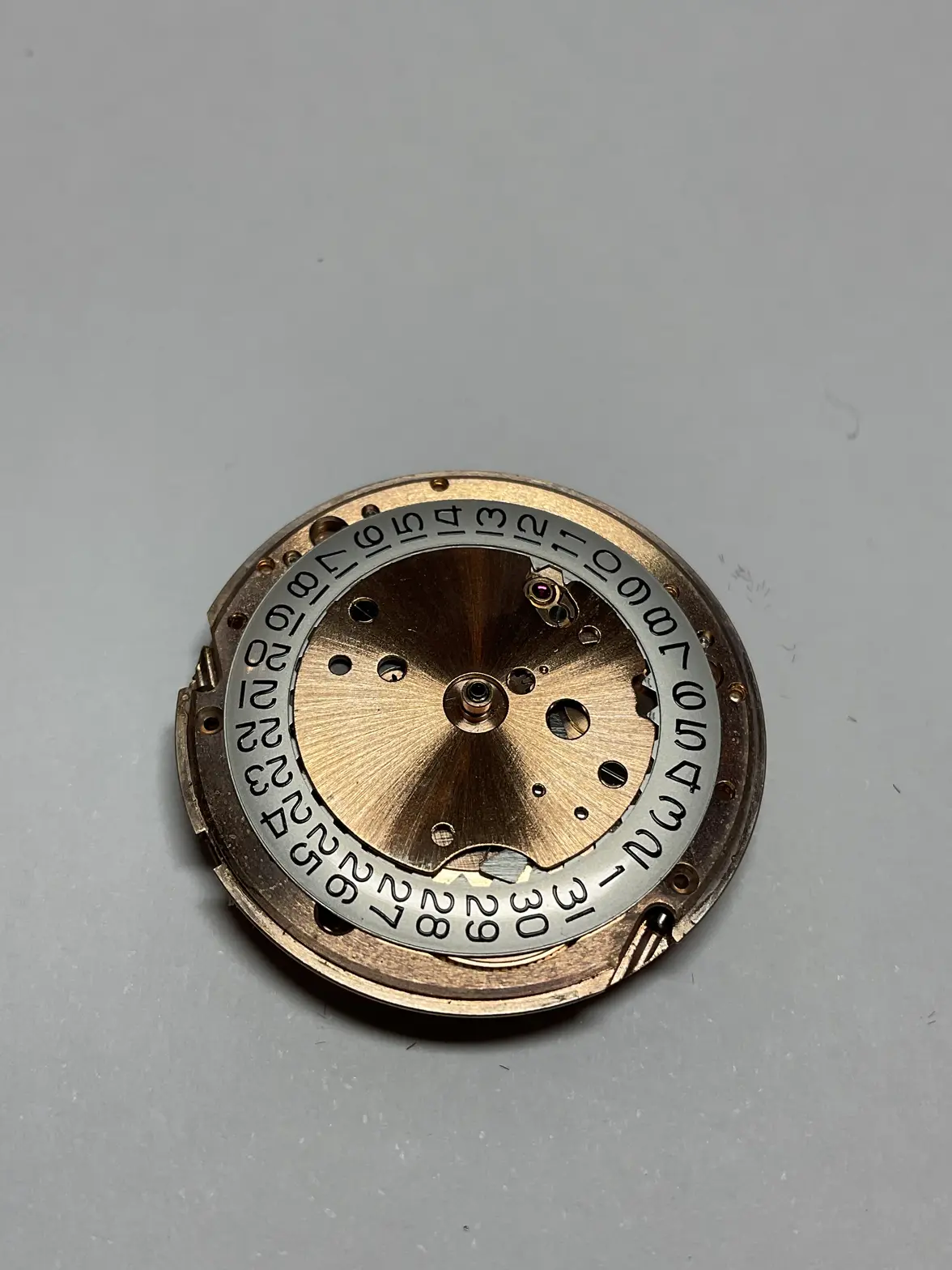 IMG_2124.webp IMG_2124.webp