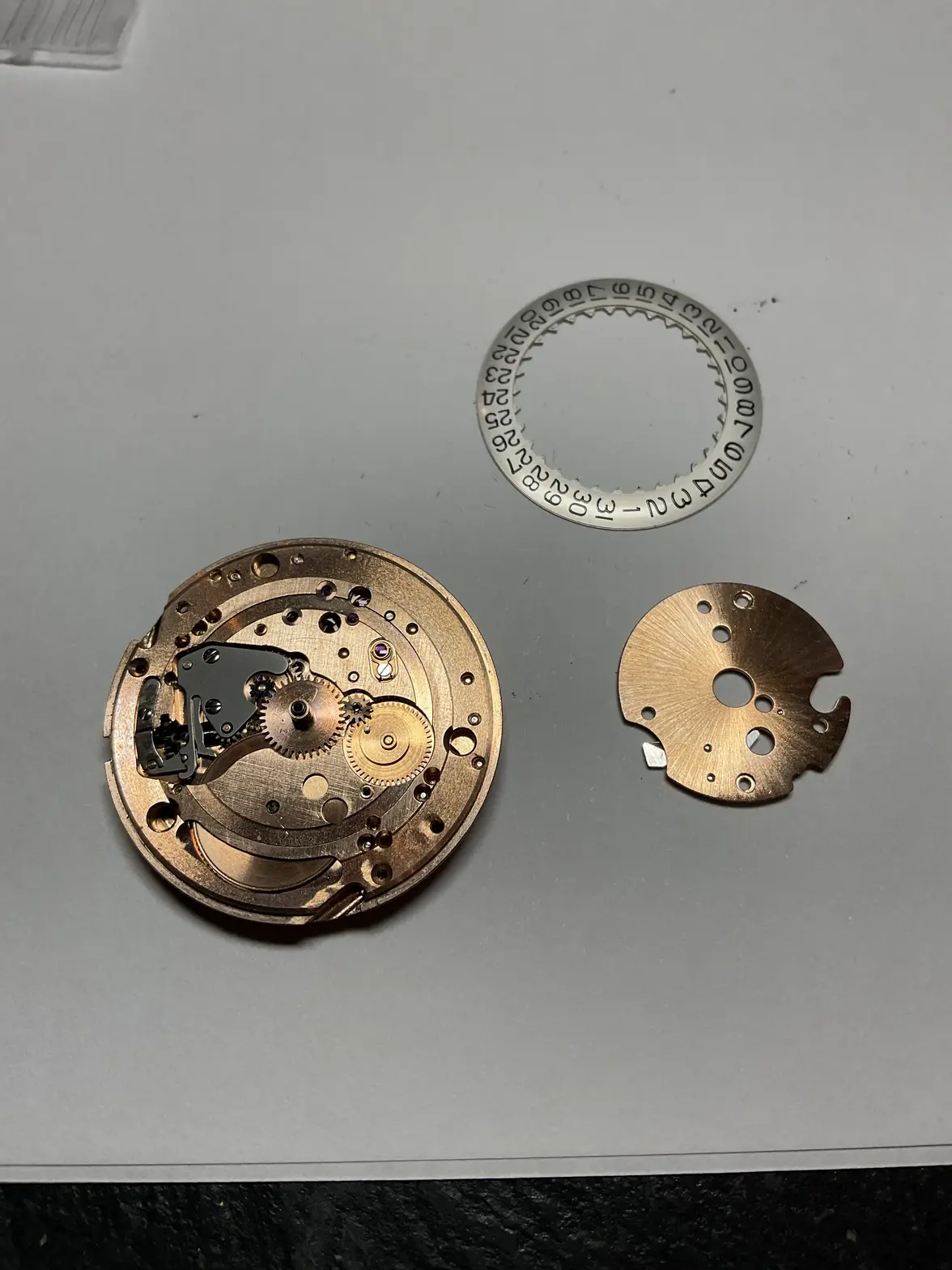 IMG_2127.webp IMG_2127.webp