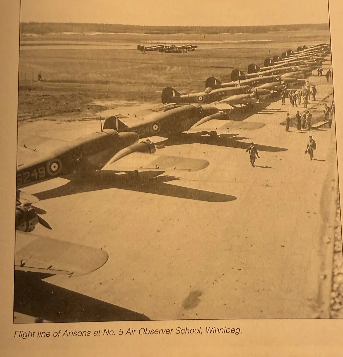 IMG_0874.webp IMG_0874.webp