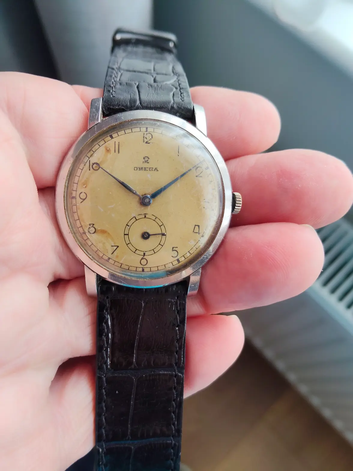 IMG20250812110903.webp IMG20250812110903.webp