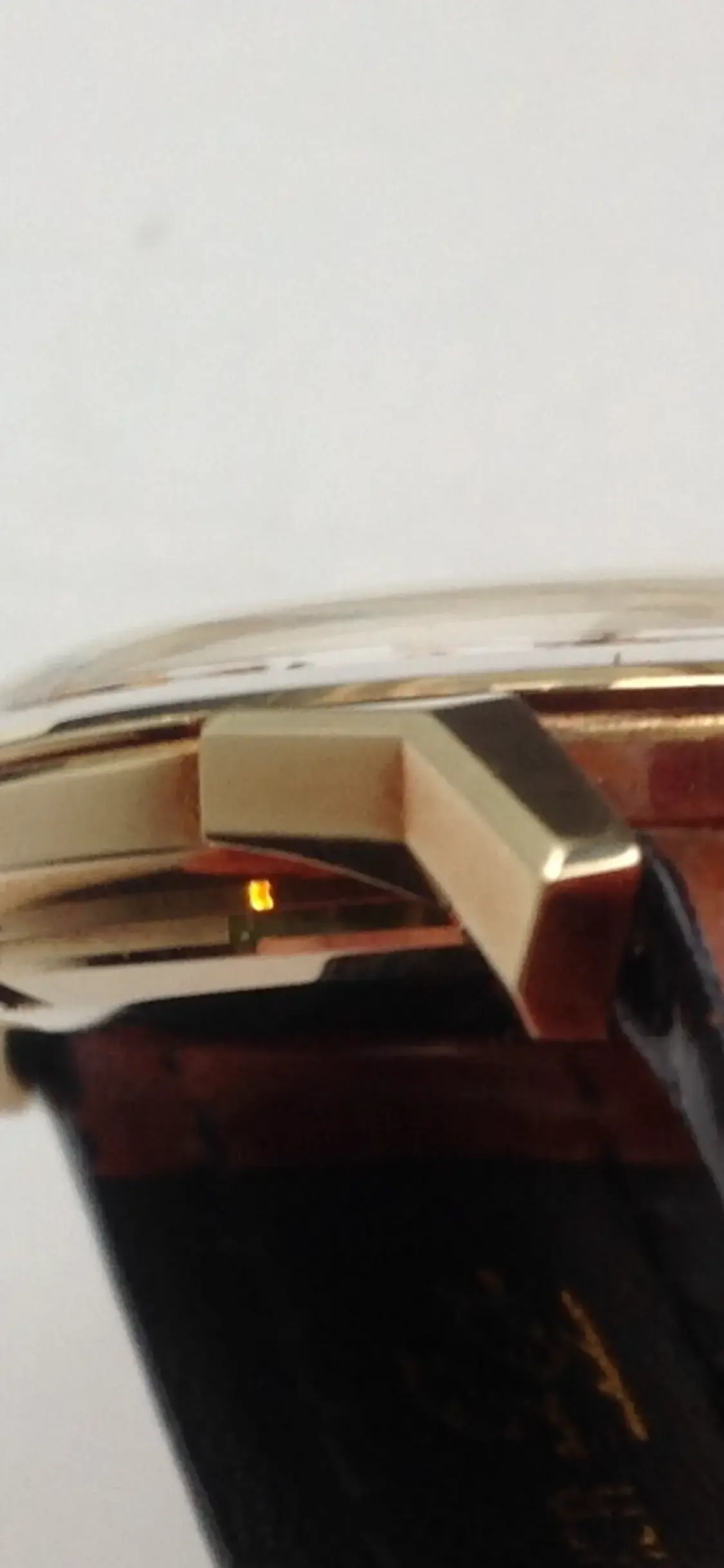 IMG_2725.webp IMG_2725.webp