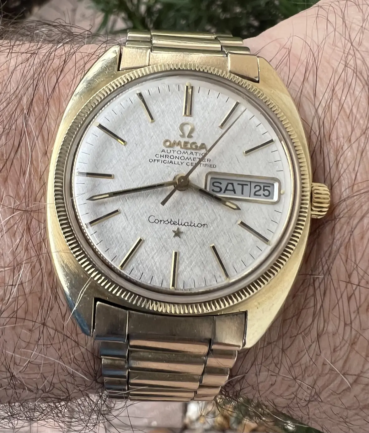 IMG_8842.webp IMG_8842.webp