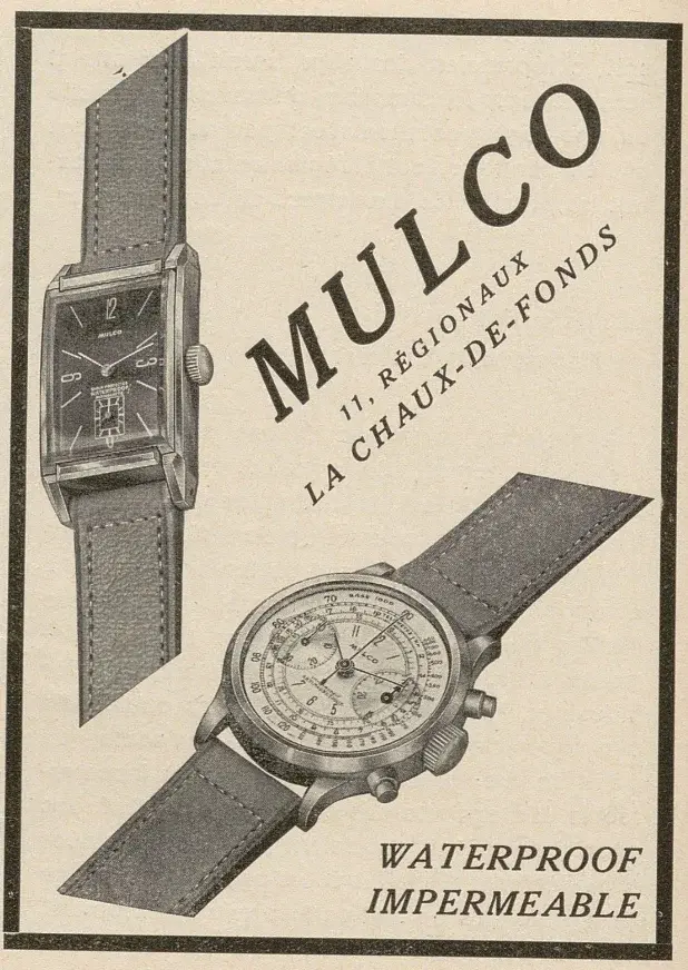 Screenshot 2025-08-13 151051.webp