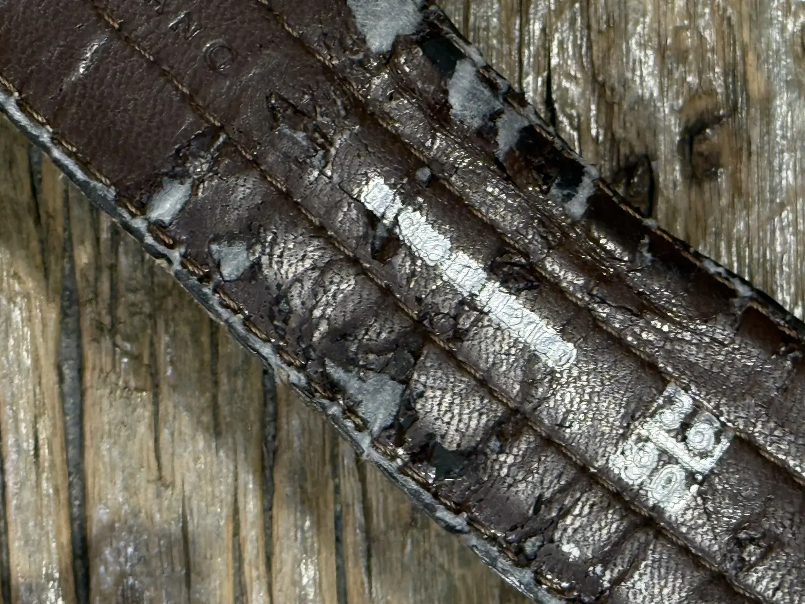 IMG_0914.webp IMG_0914.webp