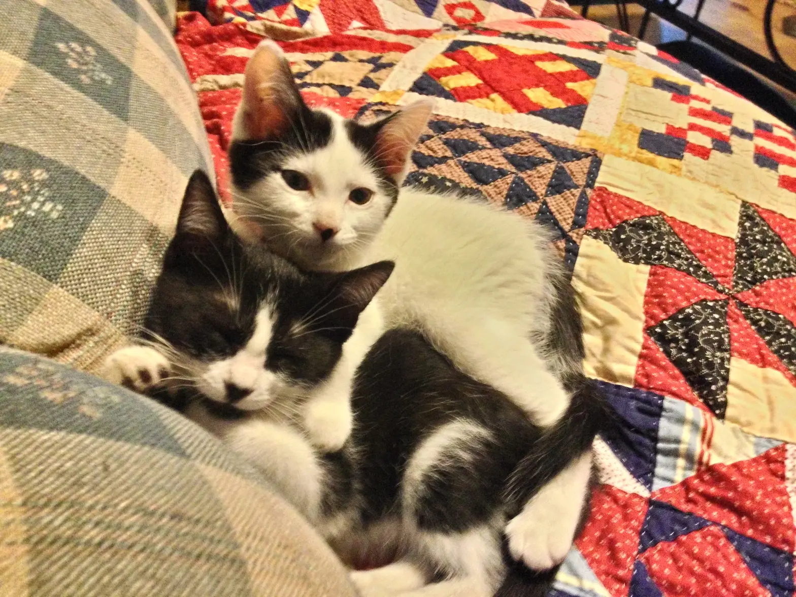 P_20150531_194235_HDR.webp P_20150531_194235_HDR.webp