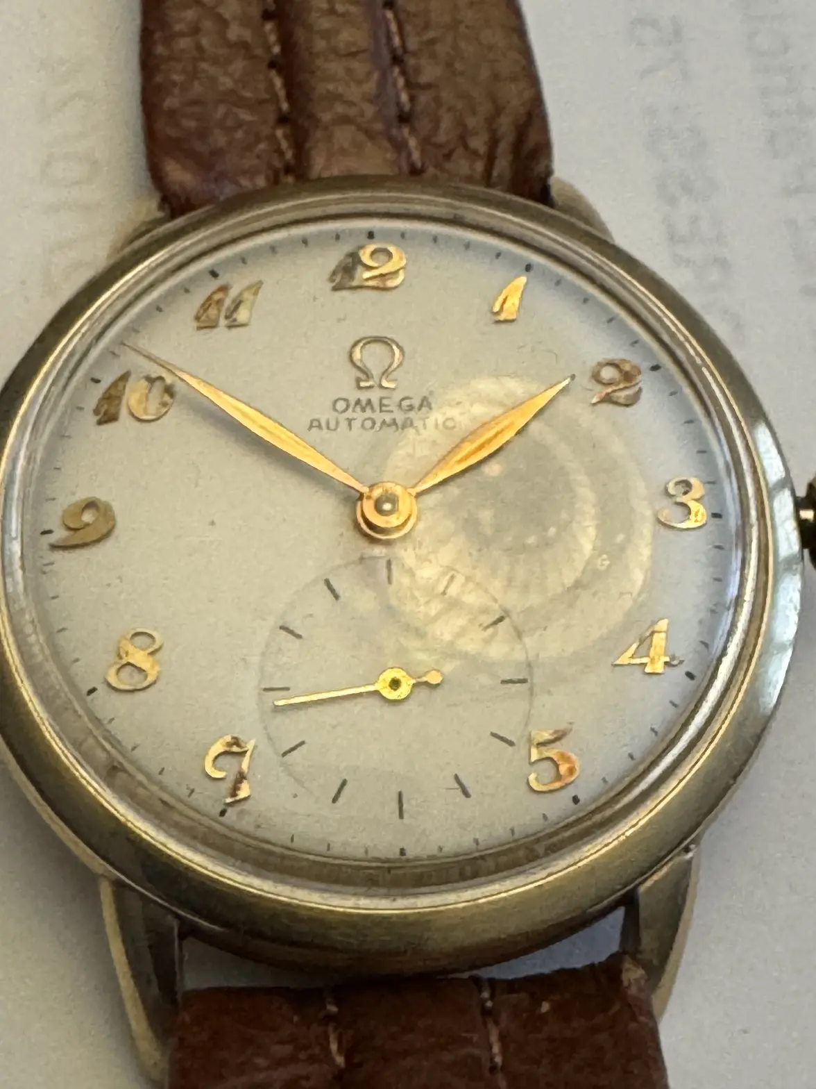 IMG_0439.webp IMG_0439.webp