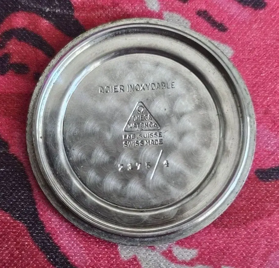 610887537_8bff9ca6-88b5-4593-9a6c-7c9fd14ae44f (1).webp