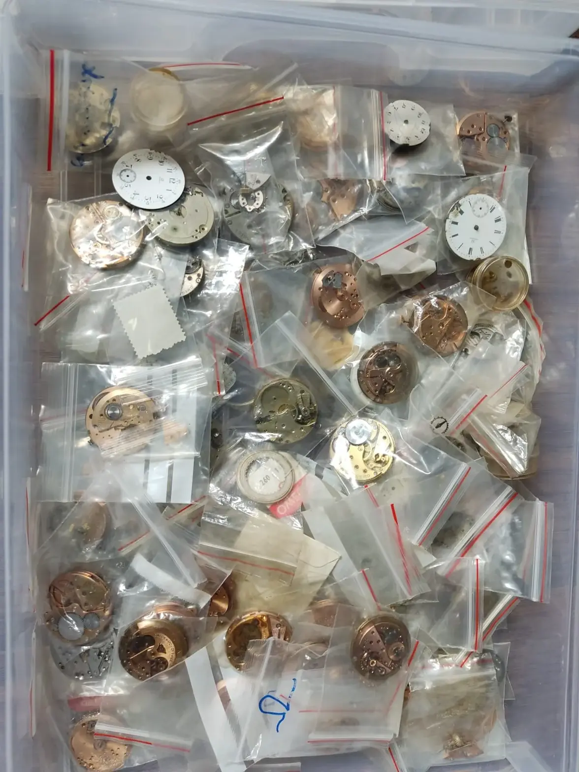 WhatsApp Image 2025-08-20 at 1.29.40 PM.webp WhatsApp Image 2025-08-20 at 1.29.40 PM.webp