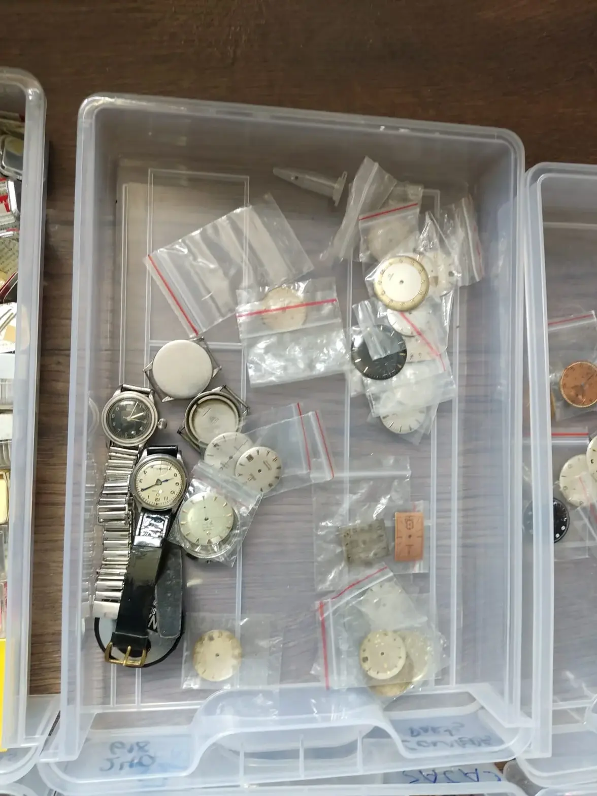 WhatsApp Image 2025-08-20 at 1.29.41 PM (1).webp WhatsApp Image 2025-08-20 at 1.29.41 PM (1).webp