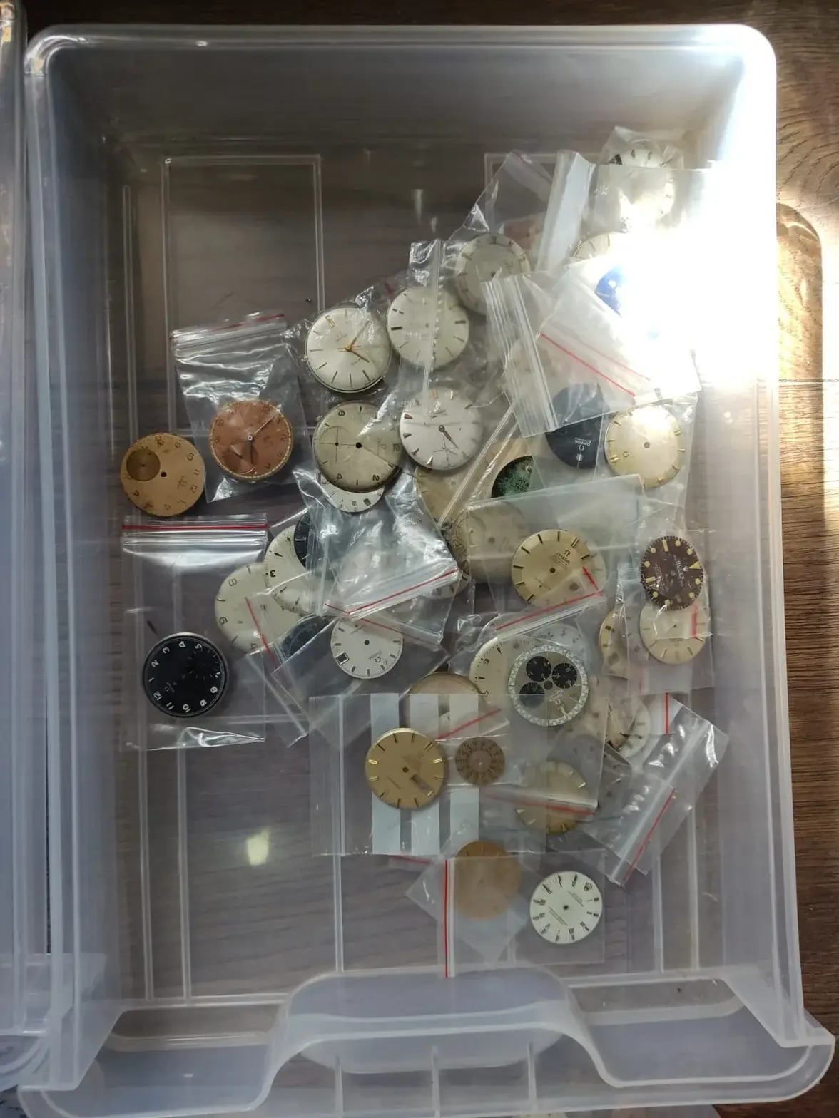 WhatsApp Image 2025-08-20 at 1.29.41 PM (2).webp WhatsApp Image 2025-08-20 at 1.29.41 PM (2).webp