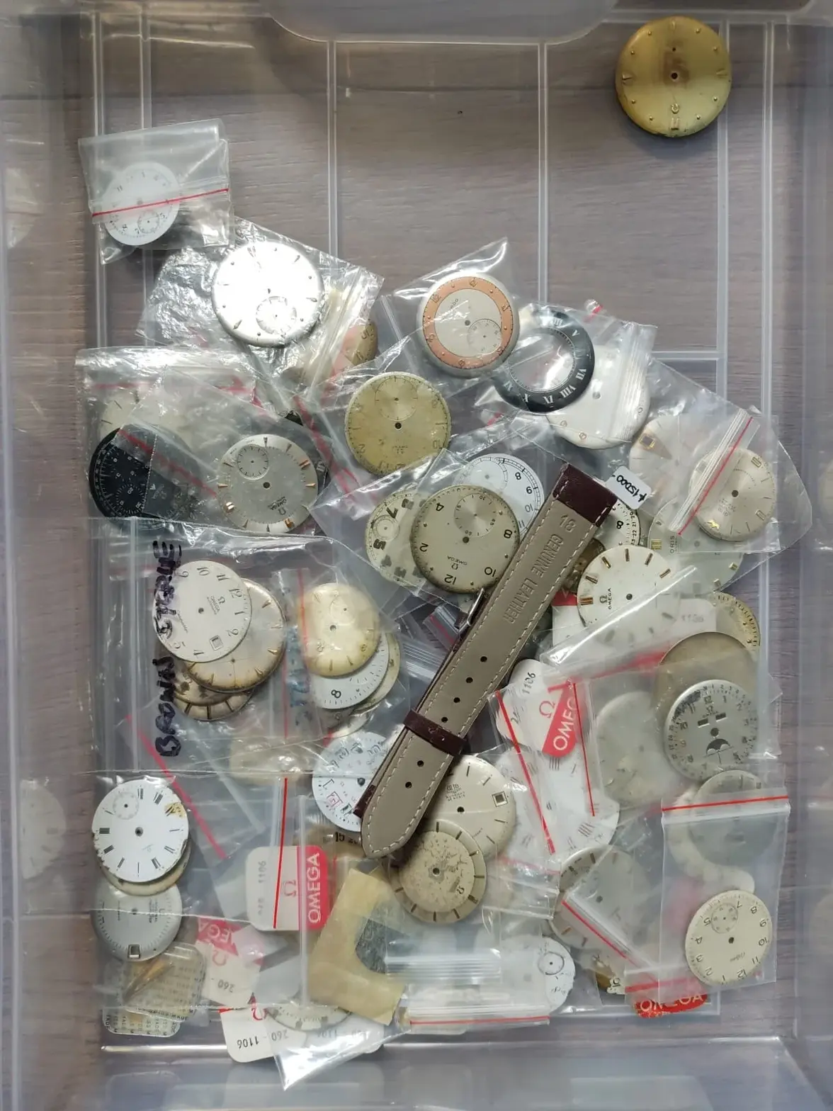 WhatsApp Image 2025-08-20 at 1.29.41 PM (3).webp WhatsApp Image 2025-08-20 at 1.29.41 PM (3).webp