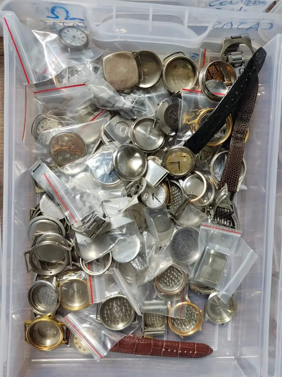 WhatsApp Image 2025-08-20 at 1.29.41 PM (4).webp WhatsApp Image 2025-08-20 at 1.29.41 PM (4).webp