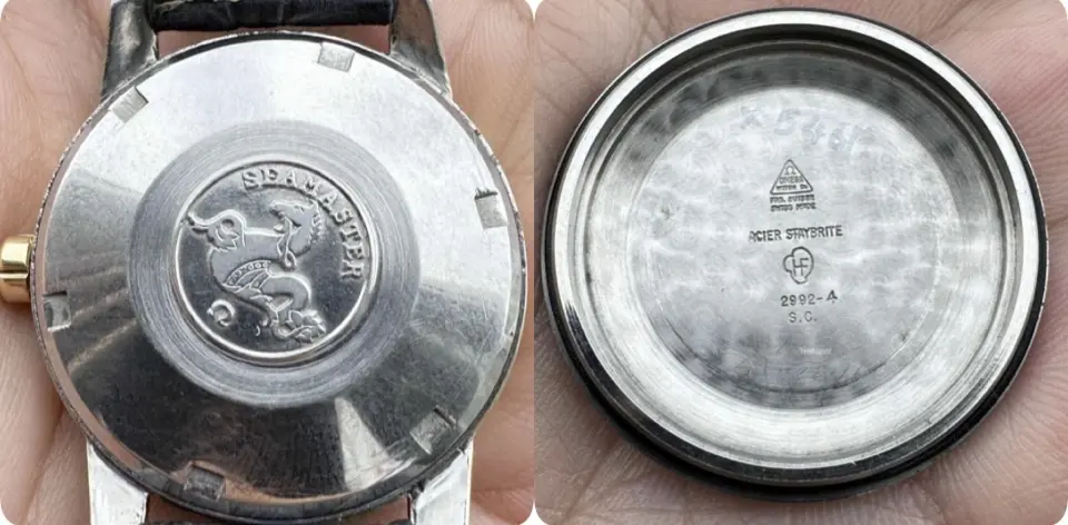 IMG_4448.webp IMG_4448.webp