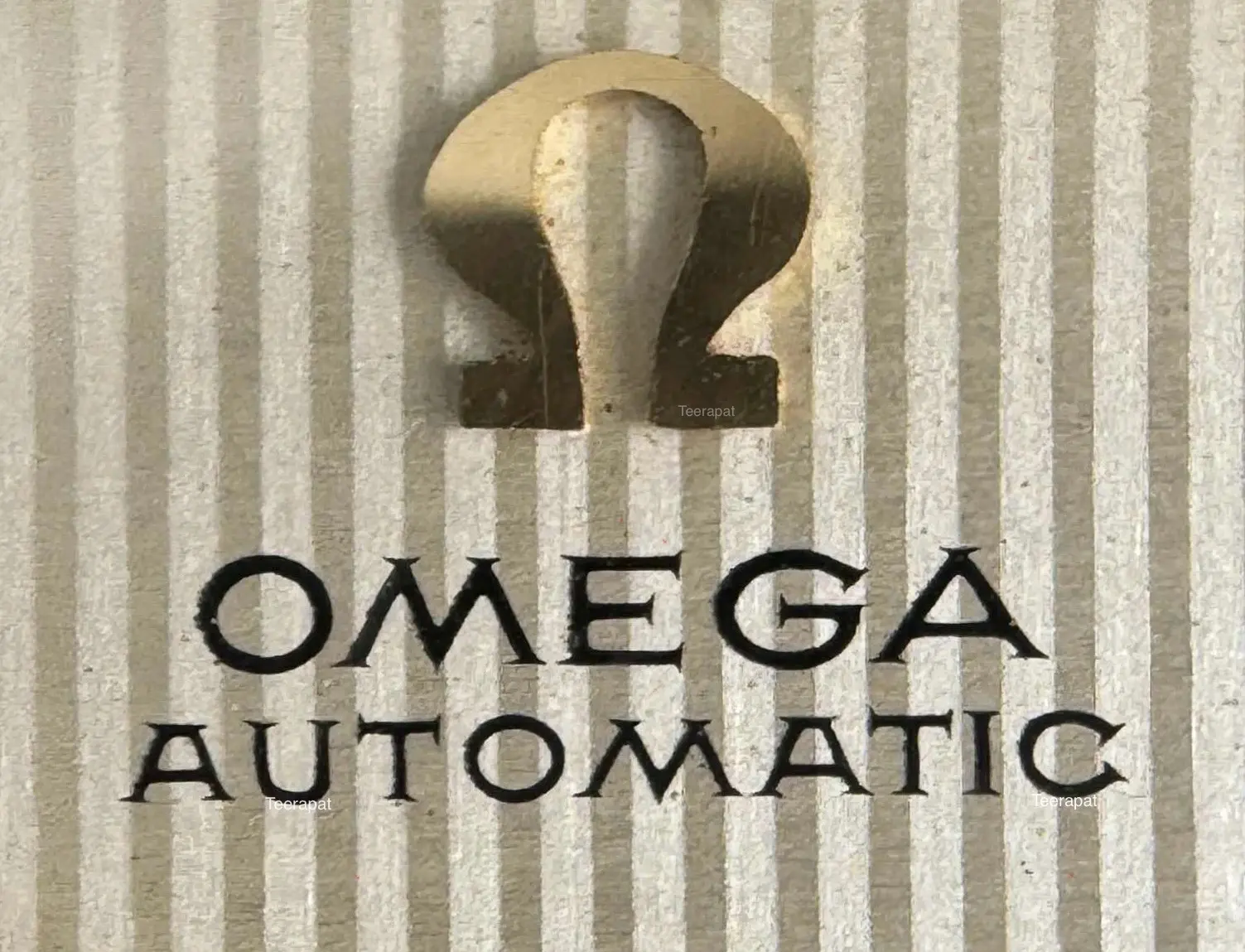 IMG_3786.webp IMG_3786.webp