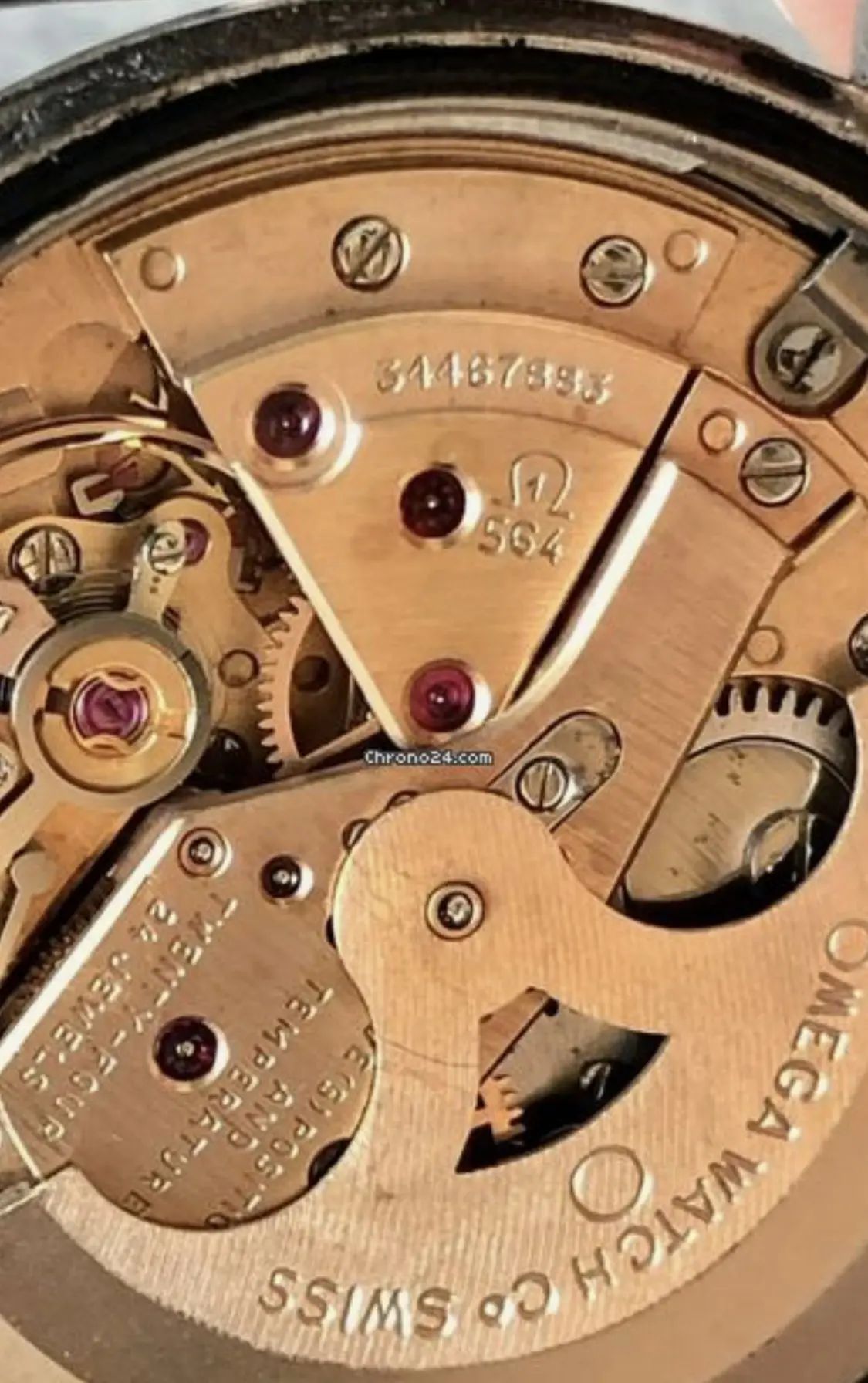 IMG_2749.webp IMG_2749.webp