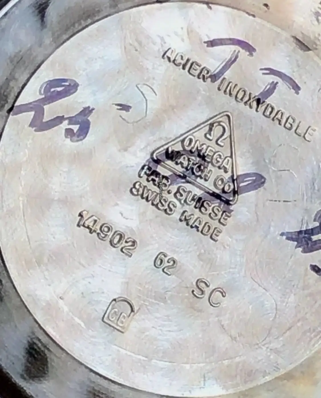 IMG_2748.webp IMG_2748.webp