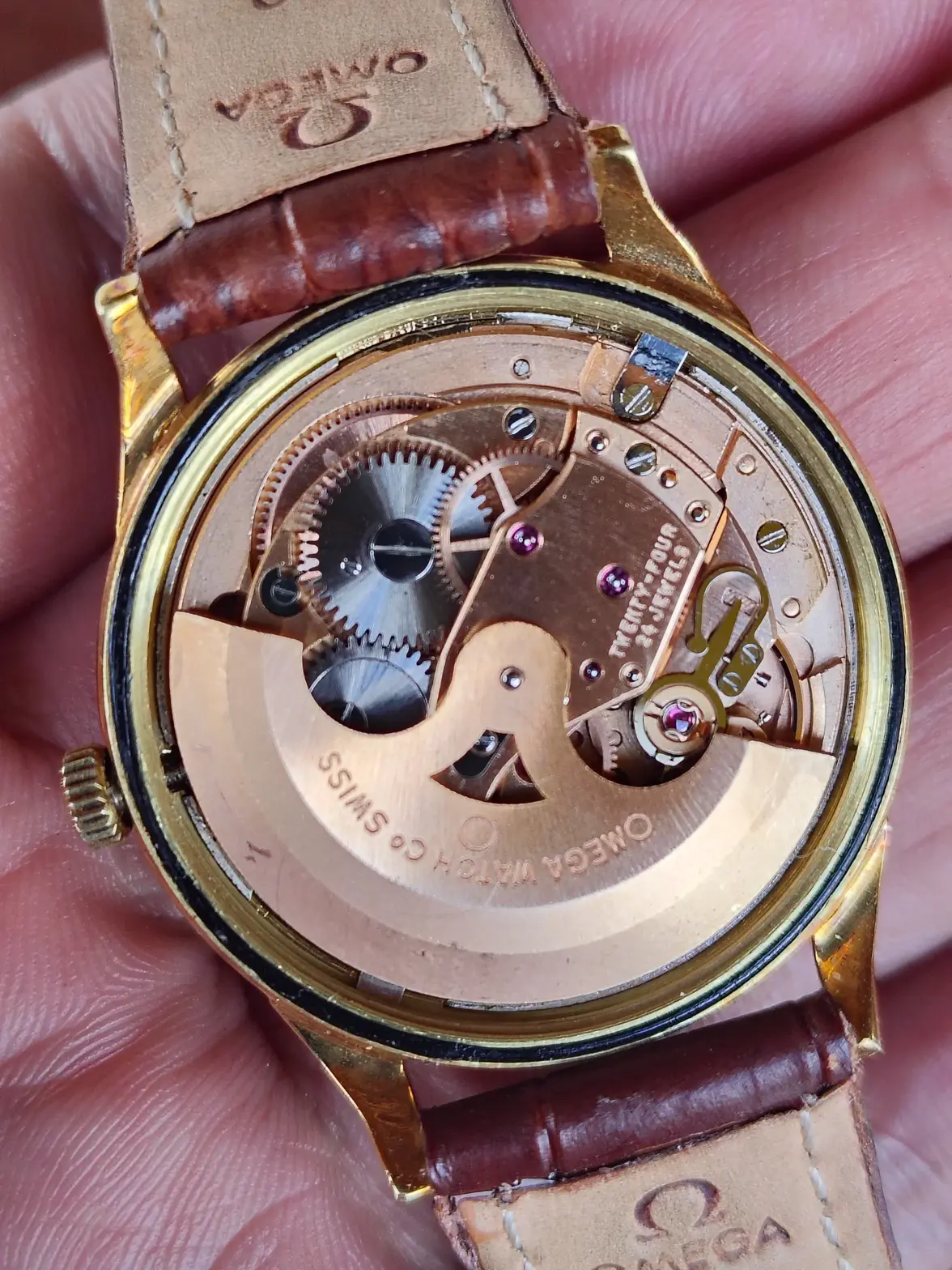 534560298_1317315060012968_808399592919696969_n (1).webp