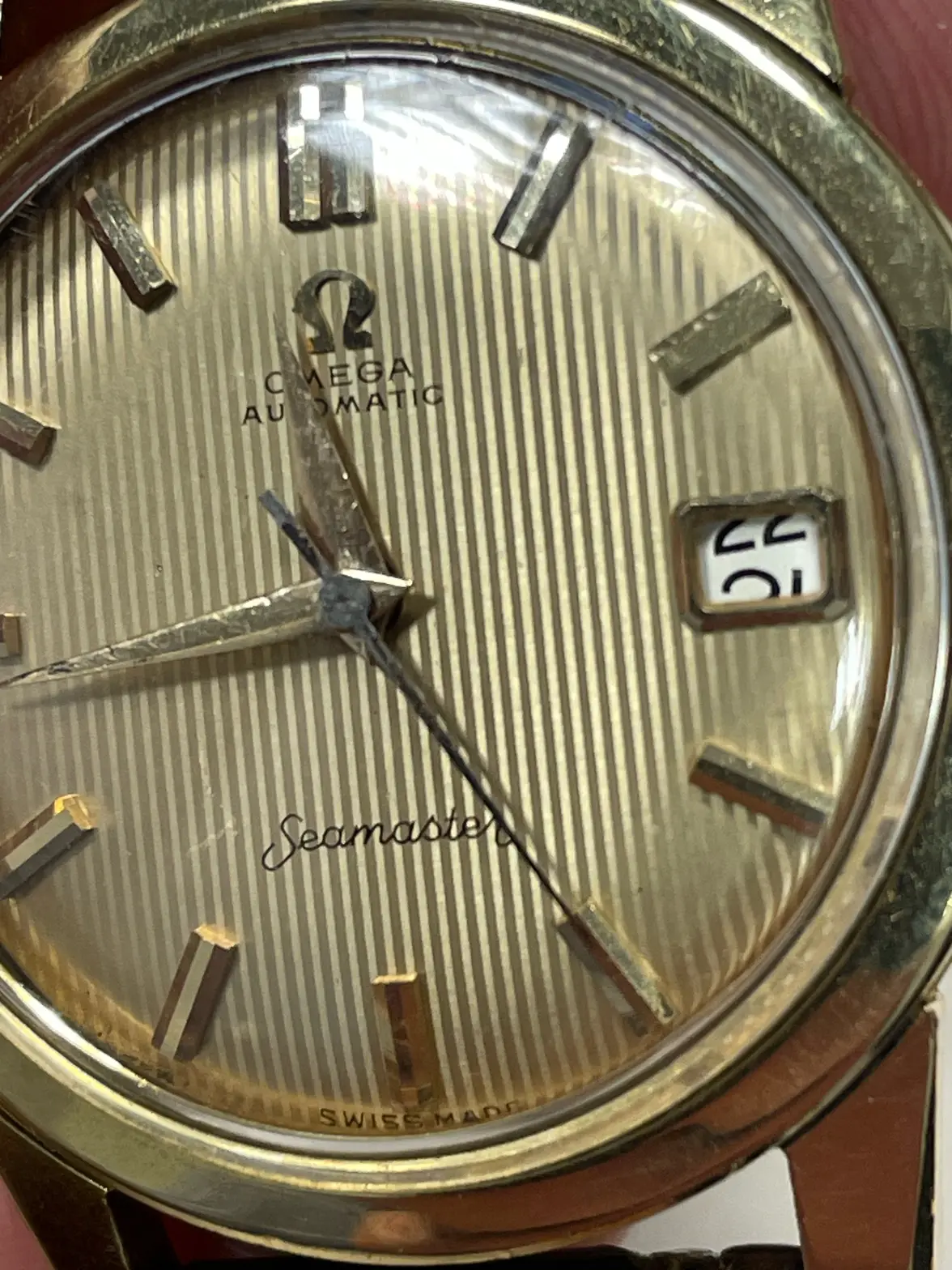 IMG_2431_Original.webp IMG_2431_Original.webp