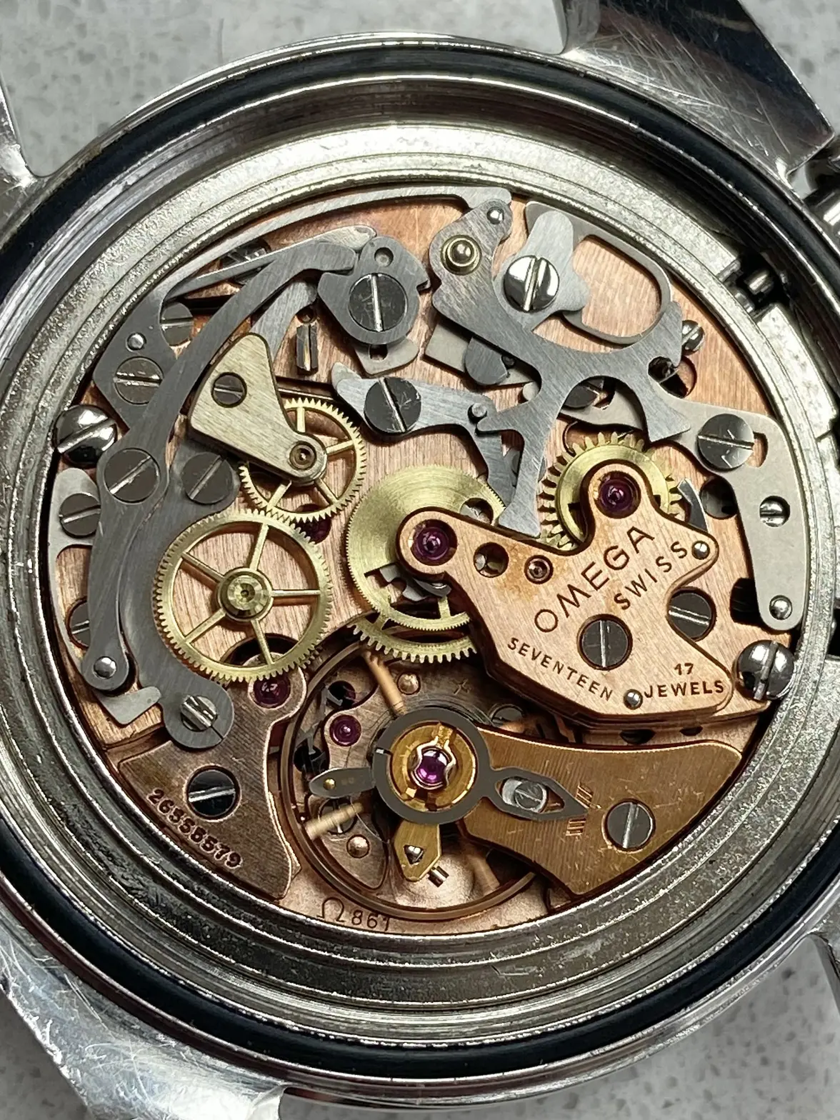 IMG_8462.webp IMG_8462.webp