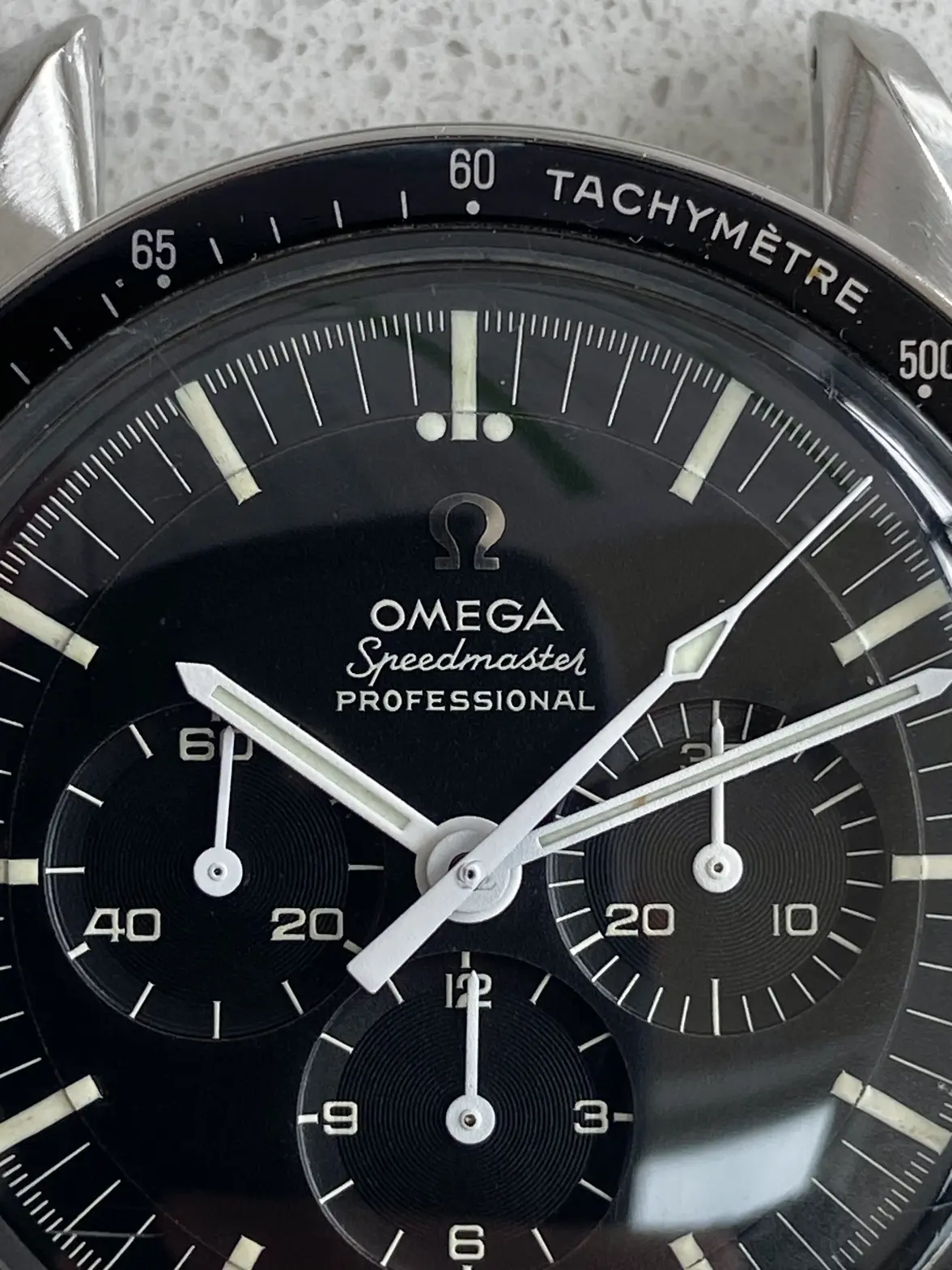 IMG_8479.webp IMG_8479.webp